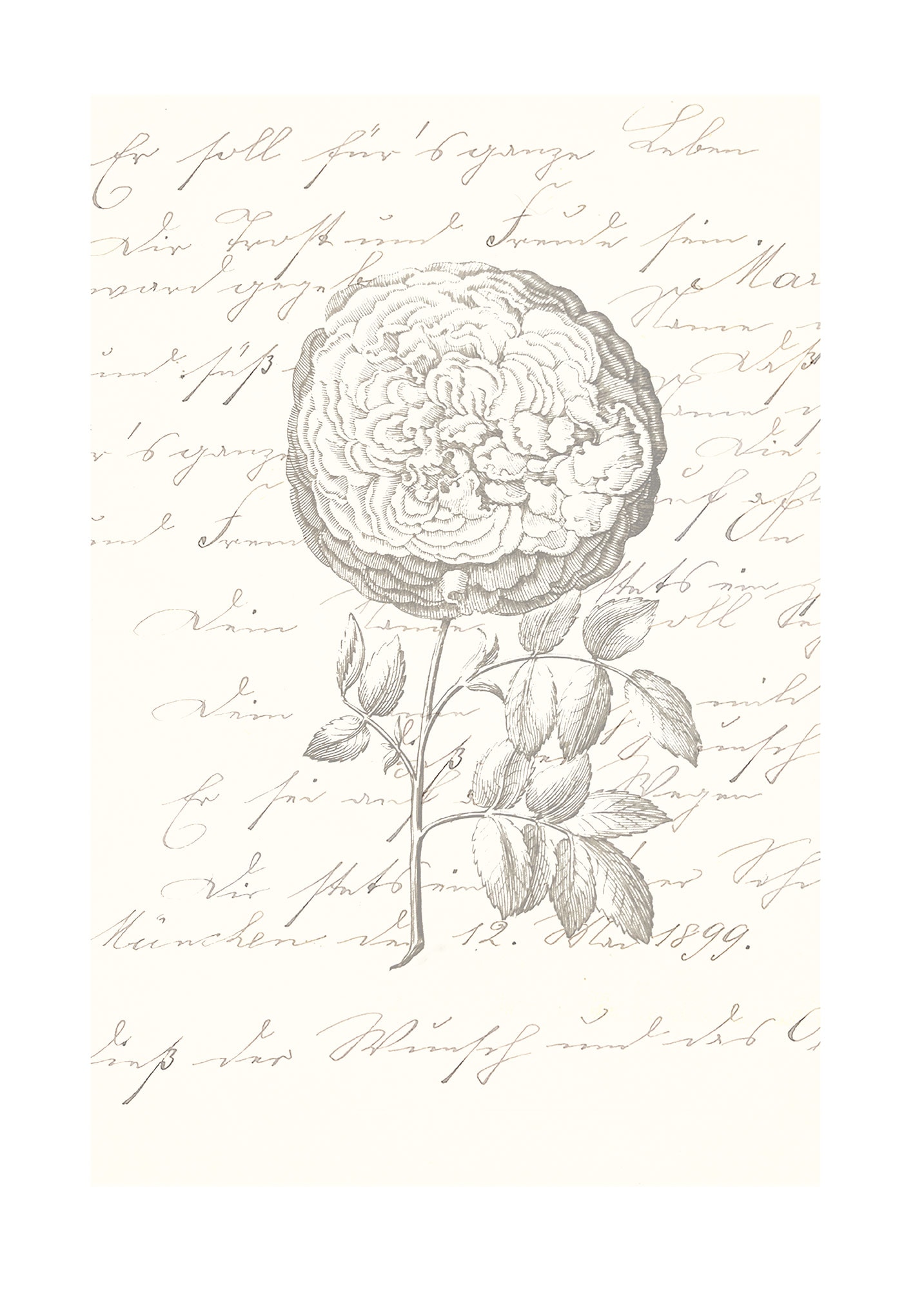 Komar Bild "Ma Chérie" Natur 1 Stk. tlg. Wandbild zur Dekoration - ohne Rah günstig online kaufen