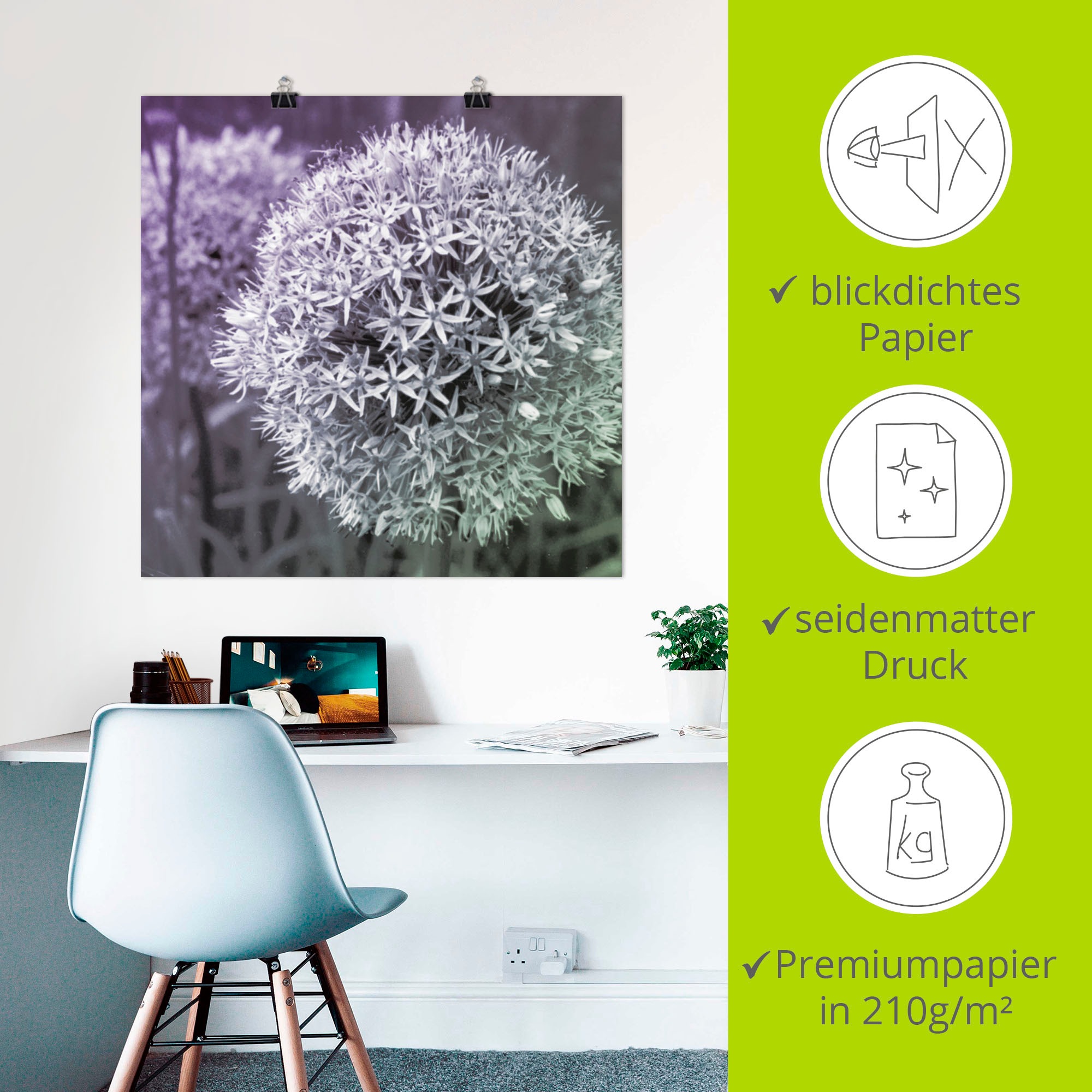 Artland Wandbild »Lila Sensation I« 1 Stk. tlg. als Alubild, Outdoorbild, Leinwandbild, Poster, Wandaufkleber