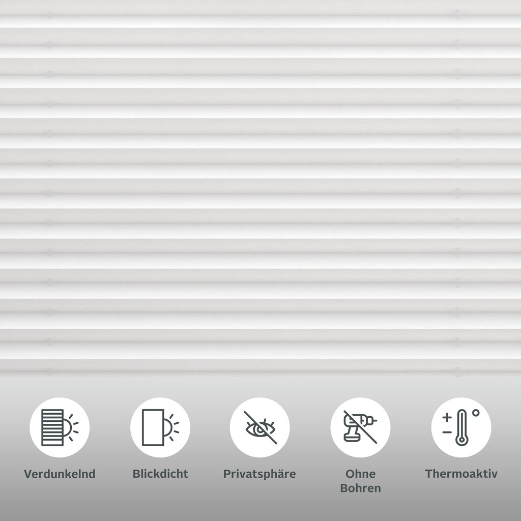 my home Plissee »Marei Thermo«, verdunkelnd, Perlreflex-beschichtet-energiesparend, ohne Bohren, verspannt