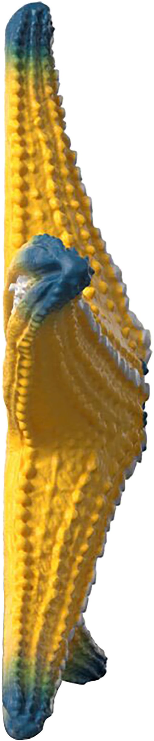 Schleich® Spielfigur »WILD LIFE, Seestern (14902)« mit Farbwechsel