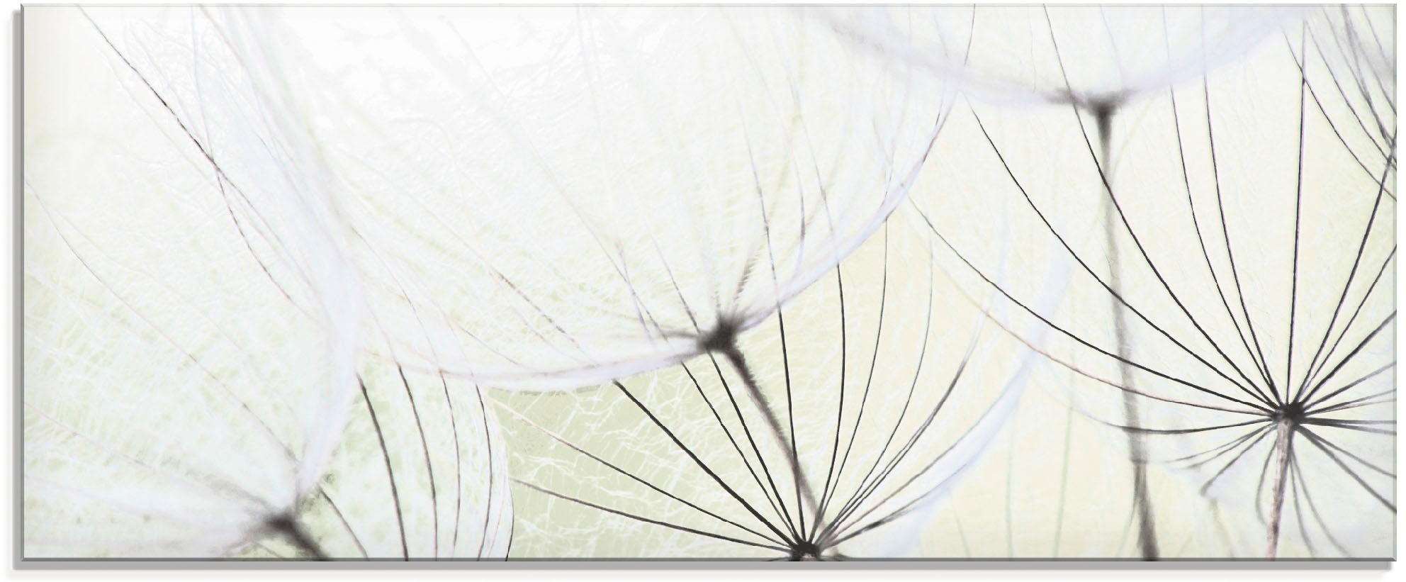 Artland Stiklinis paveikslas »Pusteblumen-Same...