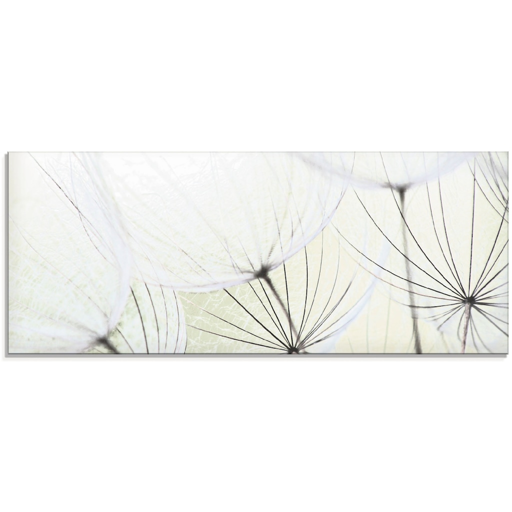Artland Glasbild »Pusteblumen-Samen aufgehellt«, Blumen, (1 St.)