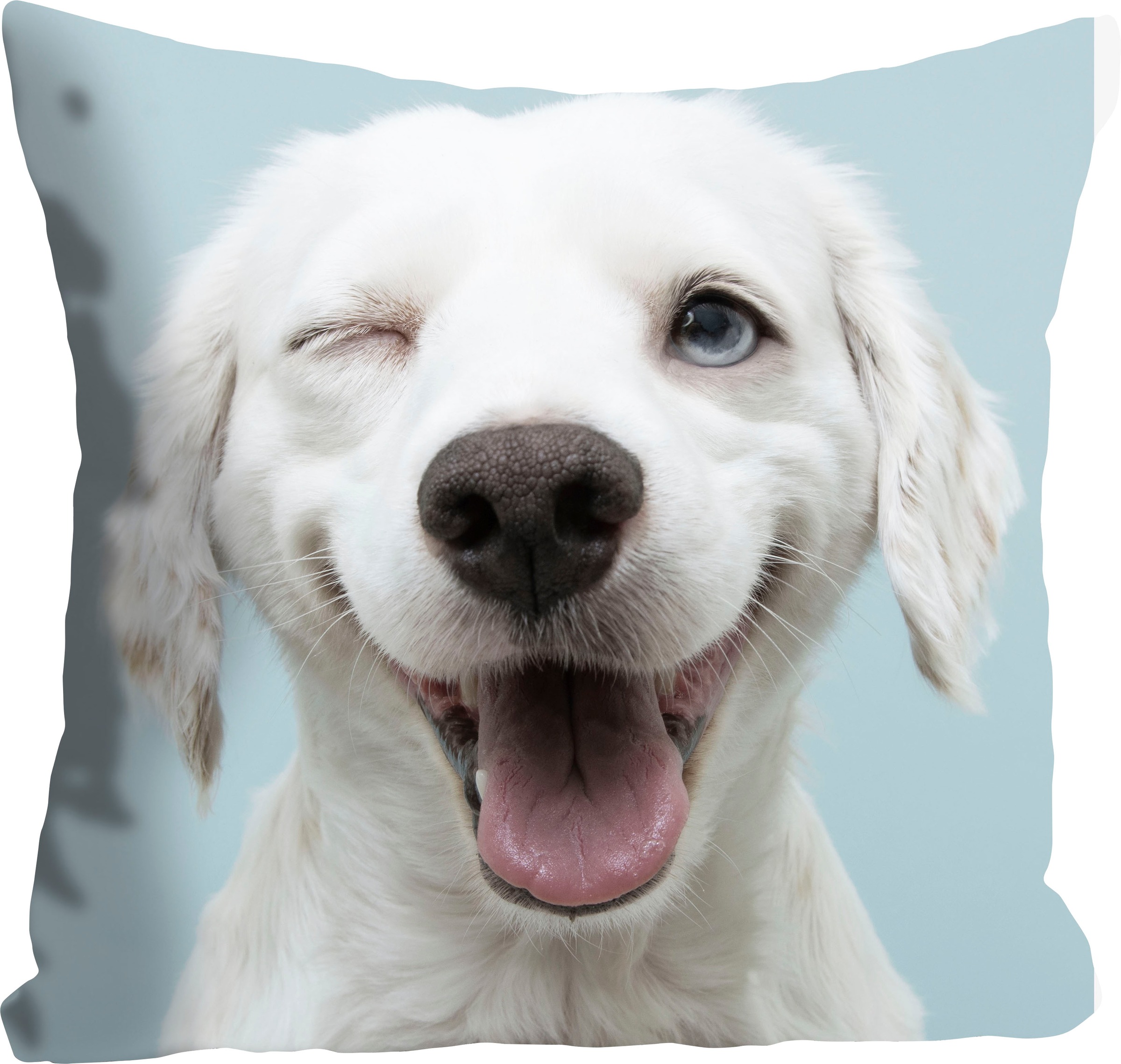 queence Dekokissen "Crazy Dog" mit einem zwinkernden Hund günstig online kaufen