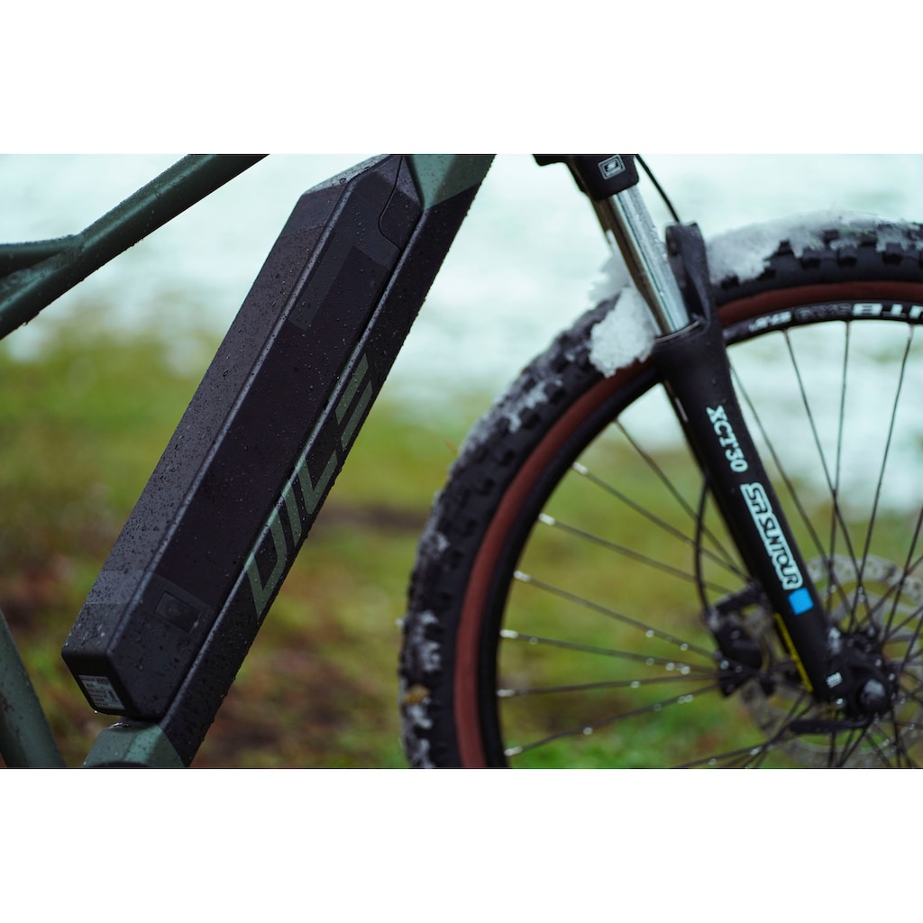 Prophete E-Bike »DICE 1.0«, 8 Gang, Shimano, Altus, Heckmotor 250 W