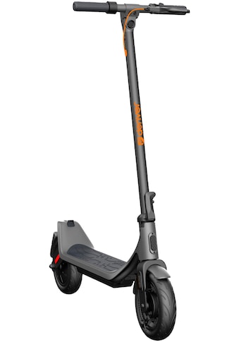 E-Scooter »DONAR SEL-10360«, 20 km/h, 25 km