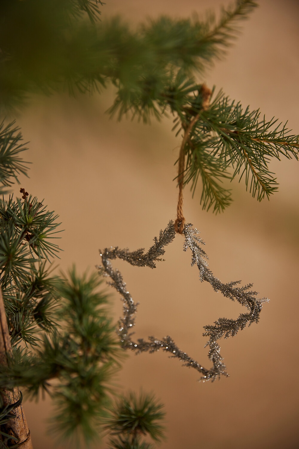 Creativ deco Dekostern »Weihnachtsstern, Glitter, Weihnachtsdeko«, (9 St.)