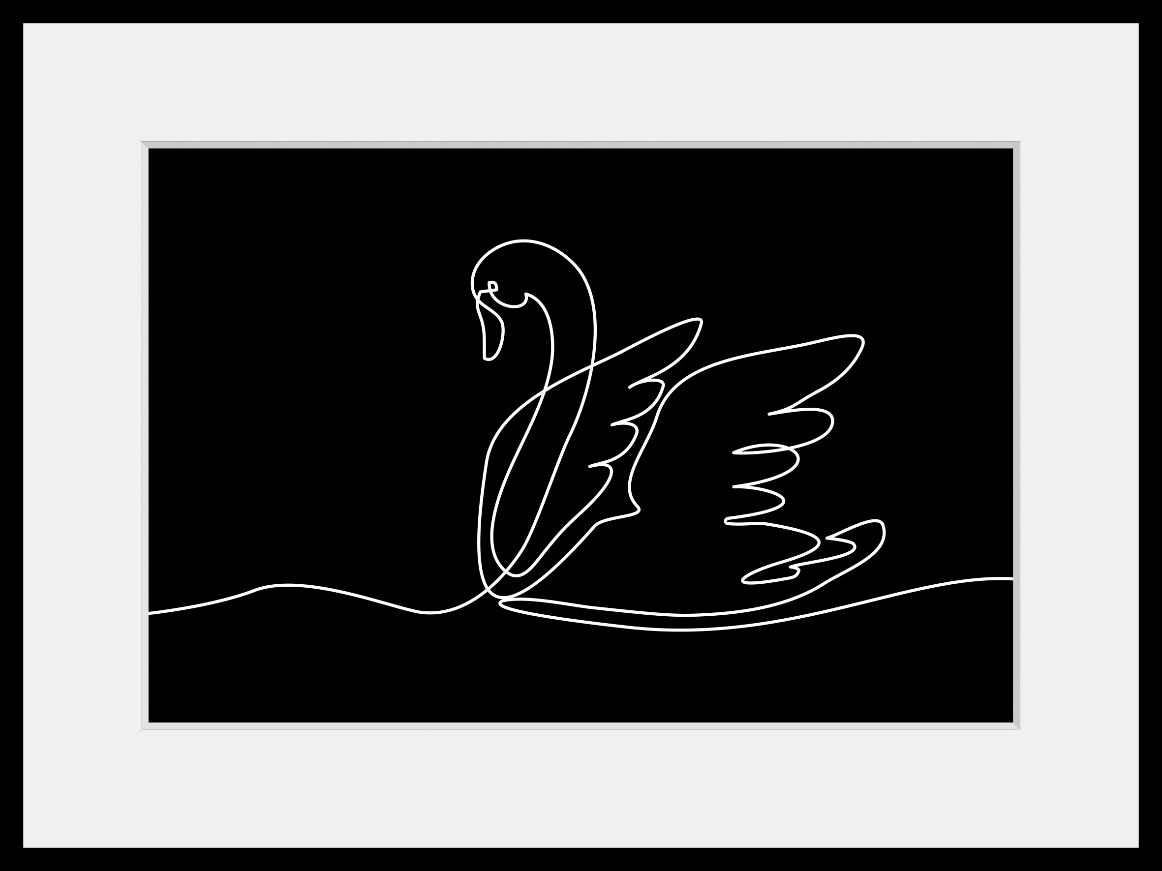 queence Bild "Alessa", Schwarz-Weiß-Kunst-Modern-Schwanen Bilder, (1 St.), günstig online kaufen