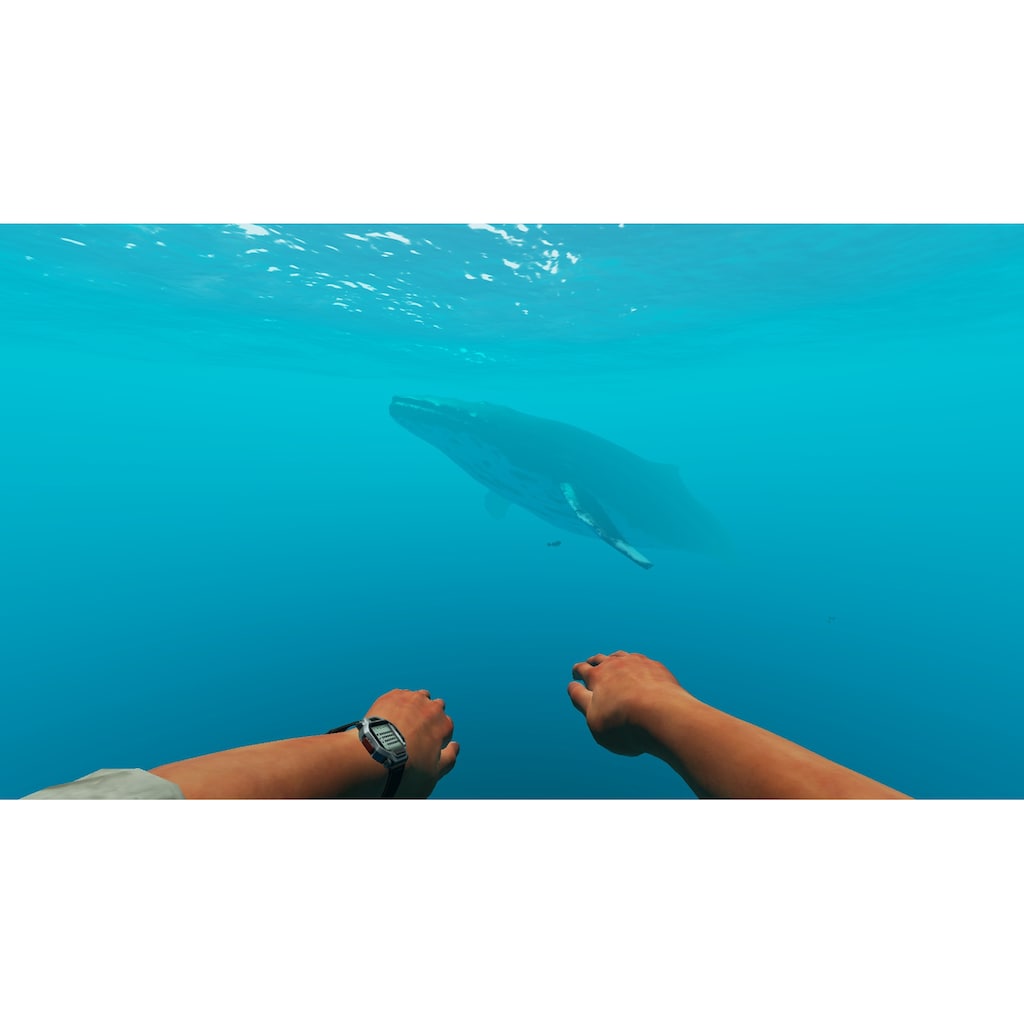 Spielesoftware »Stranded Deep«, Nintendo Switch