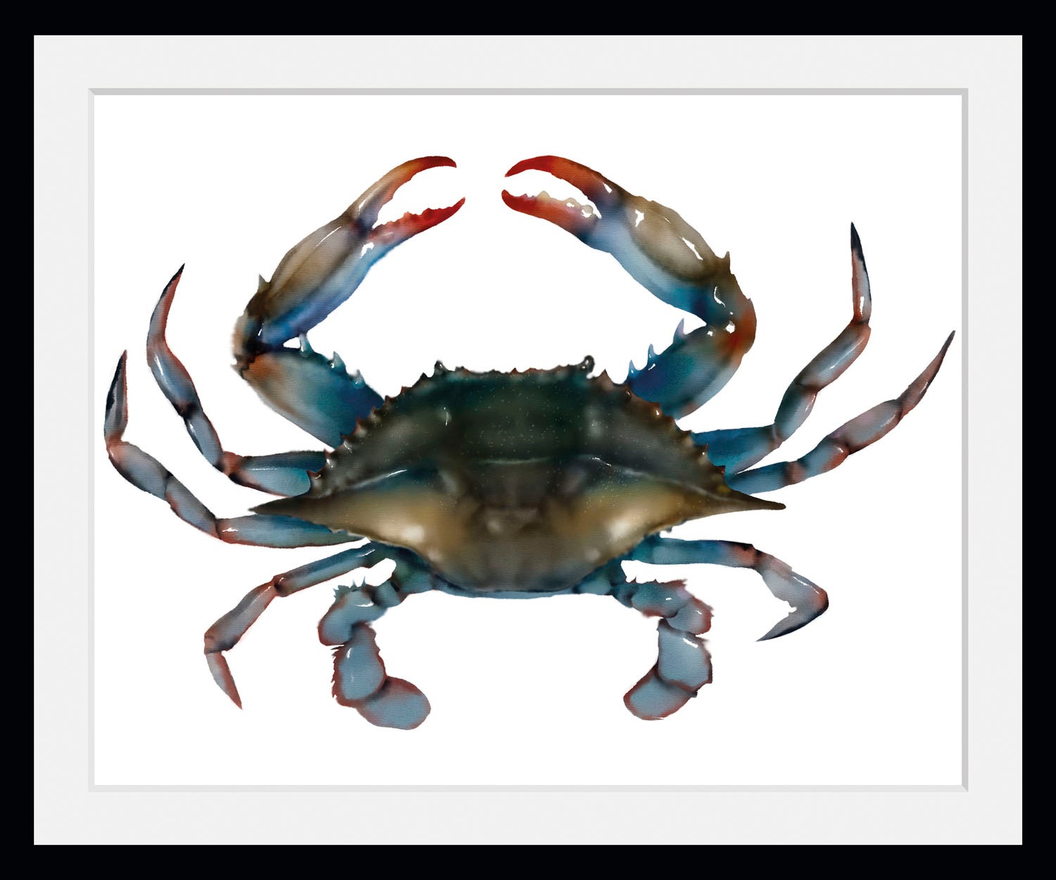 queence Bild "Mr. Krabs", Meer-Wassertiere-Kunst, (1 St.), HD Premium Poste günstig online kaufen