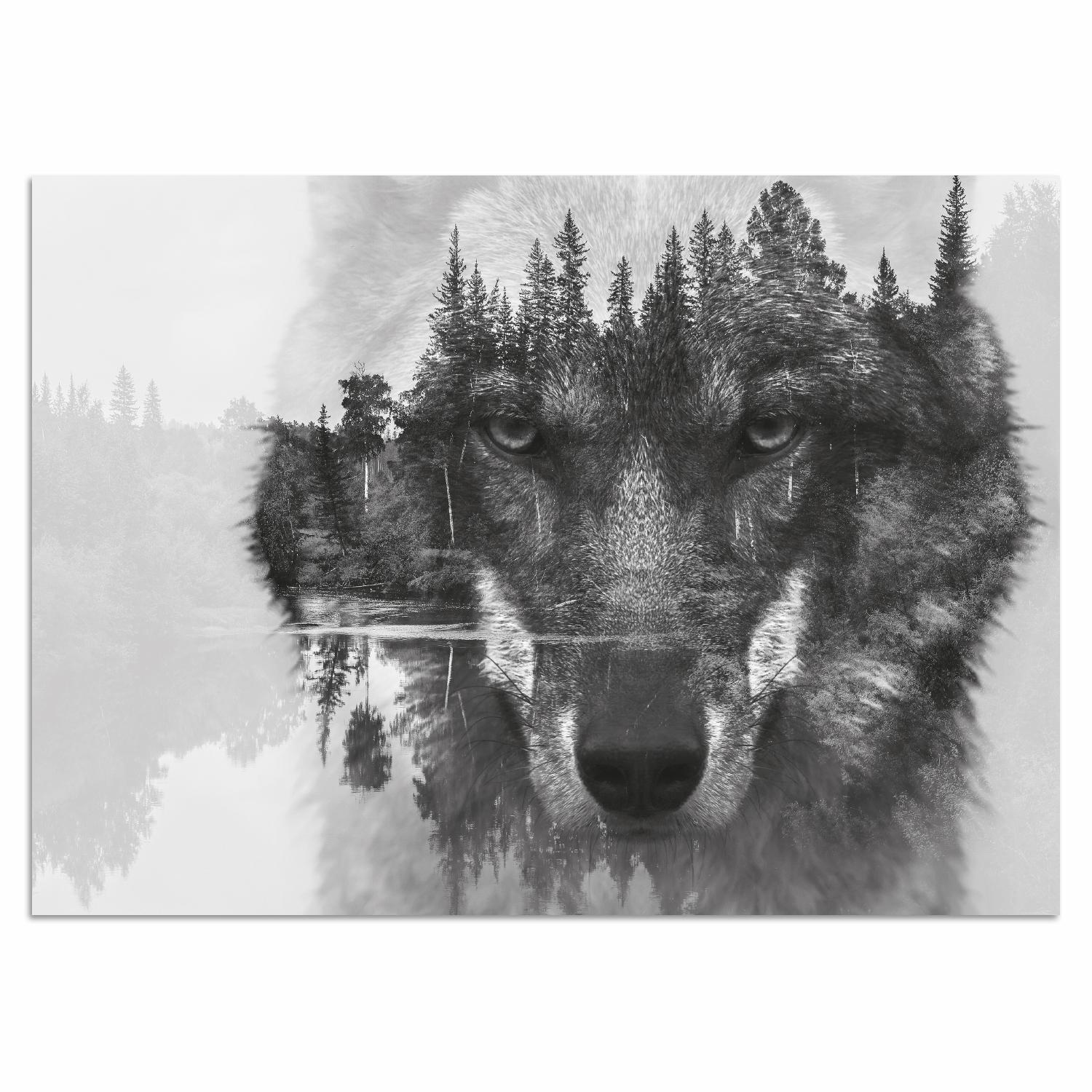 Home affaire Acrylglasbild "Wolf" Baum Baumbilder Schwarz-Weiß See Seebilder Seelandschaft Tiere Wildtiere Wolfbilder Yosemite Nationalpark Fine Art-Print in Galeriequalität