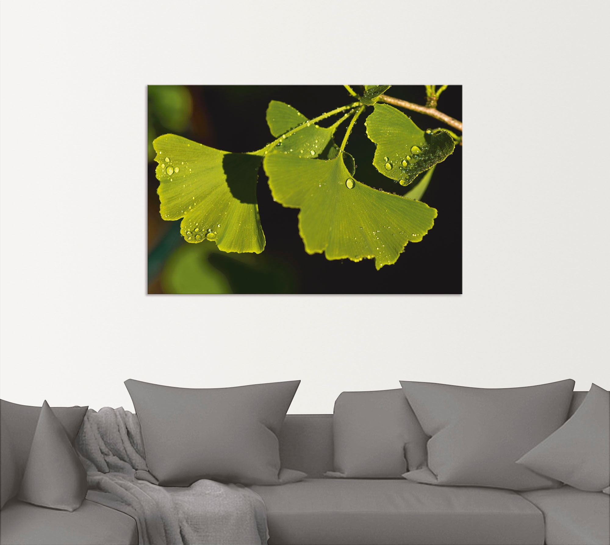 Artland Wandbild "Ginkgo Blätter", Blätter, (1 St.), als Alubild, Outdoorbi günstig online kaufen