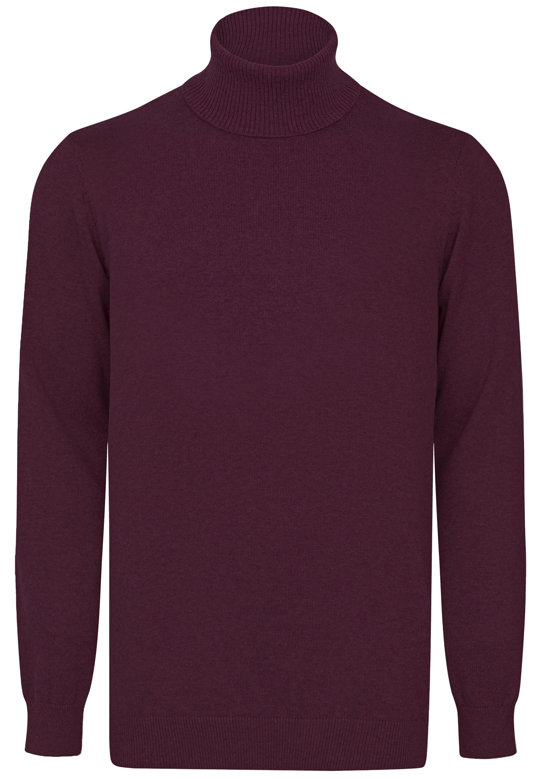 Felix Hardy "Rollkragenpullover"