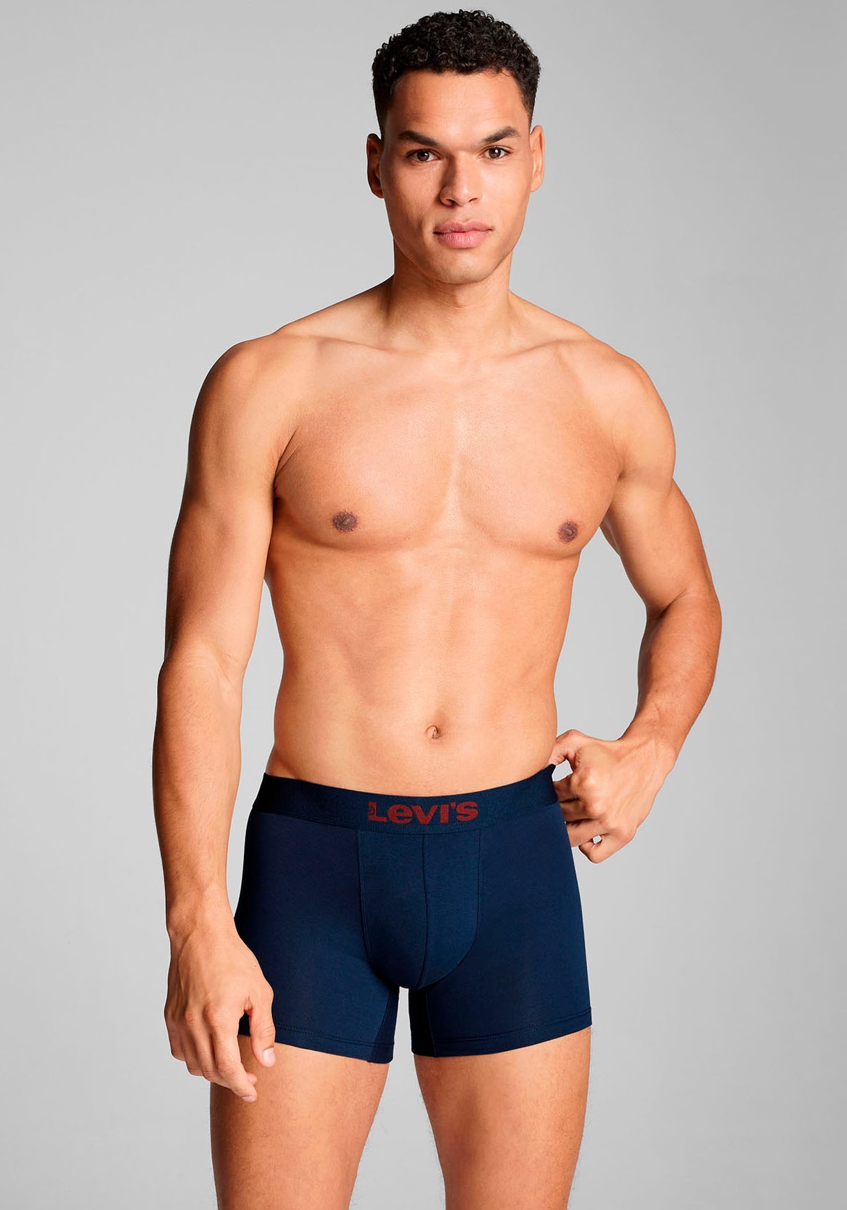 Levi's® Boxershorts »LEVIS MEN LOGO AOP BOXER BRIEF ORG CO 2P«, (2er Pack), mit stilvoller Musterung