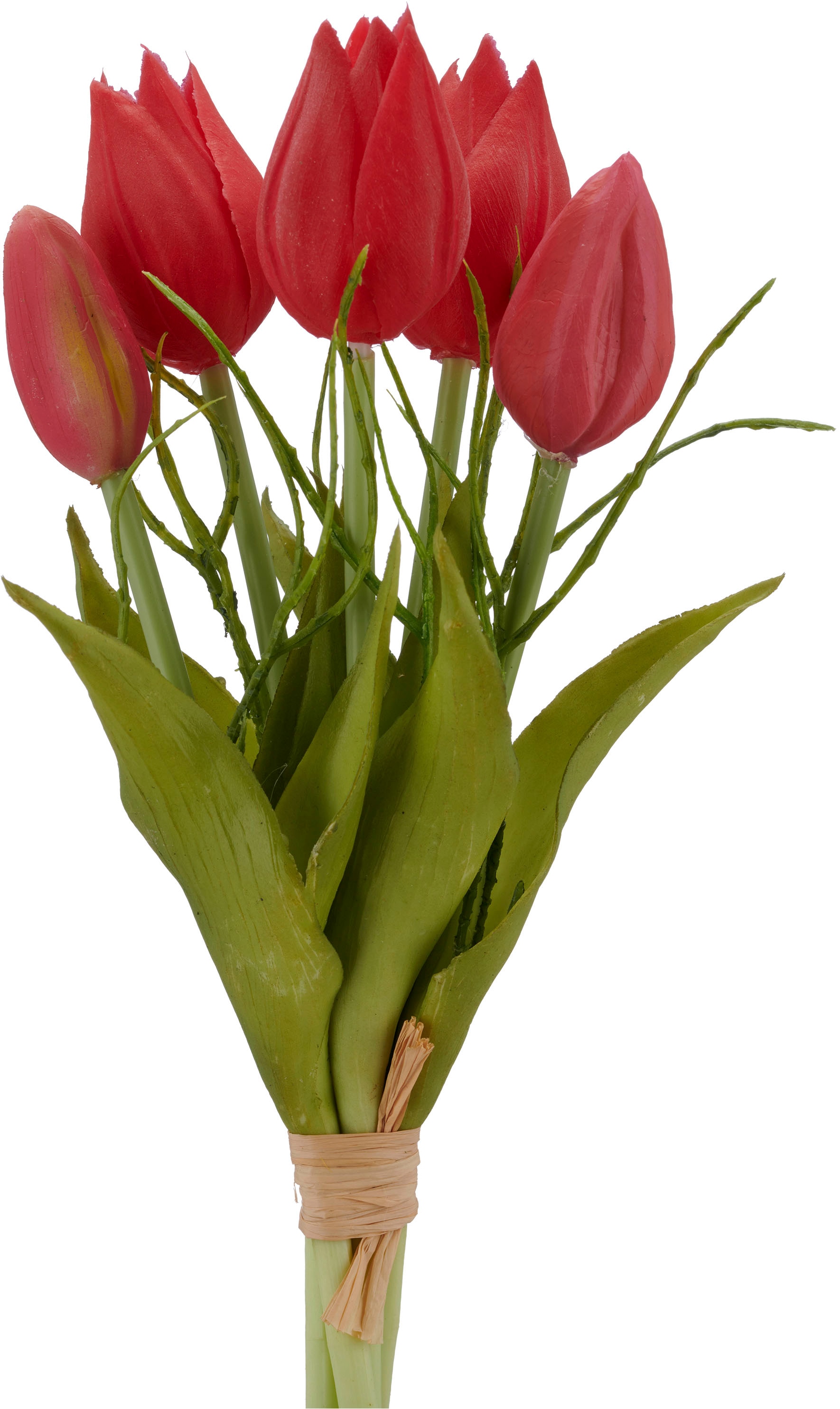 Creativ green Kunsttulpe »Tulpenbund« mit Zweigen