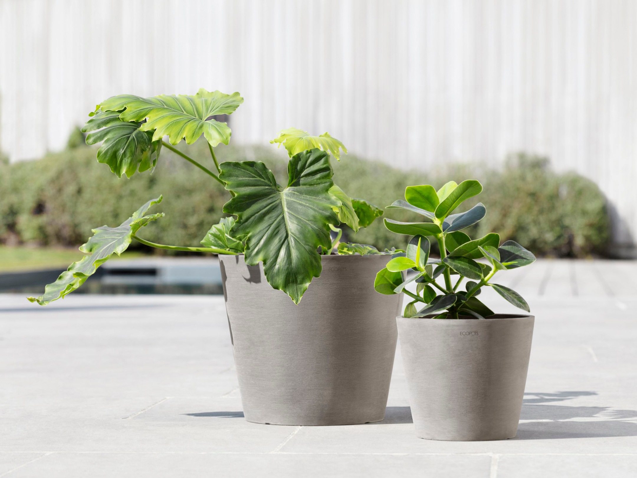 ECOPOTS Blumentopf »Amsterdam 30 + Wassersystem Taupe«, für innen und außen: frostsicher, bruchsicher und lichtbeständig