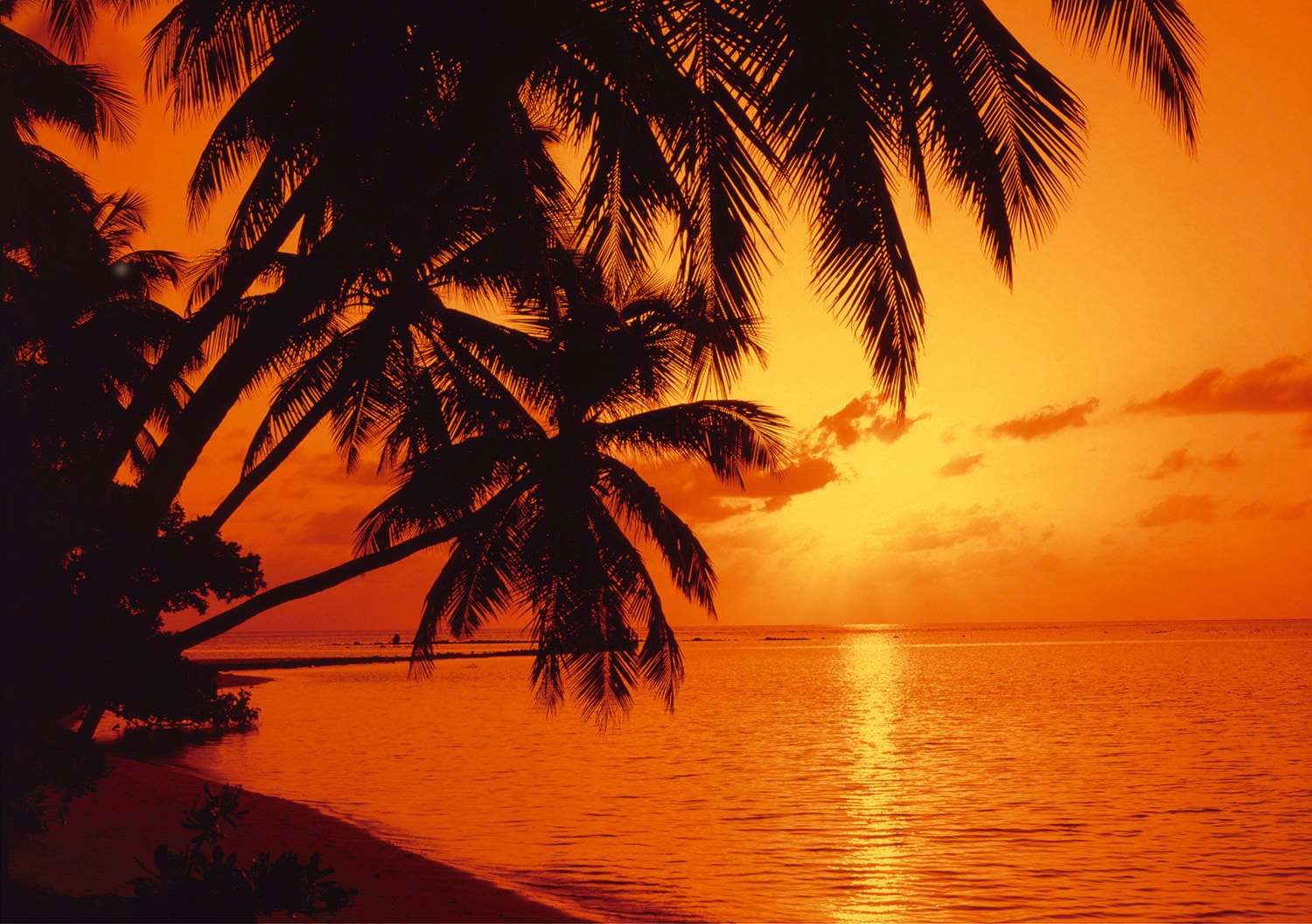 Papermoon Fototapete "Tropic Sunset" glatt