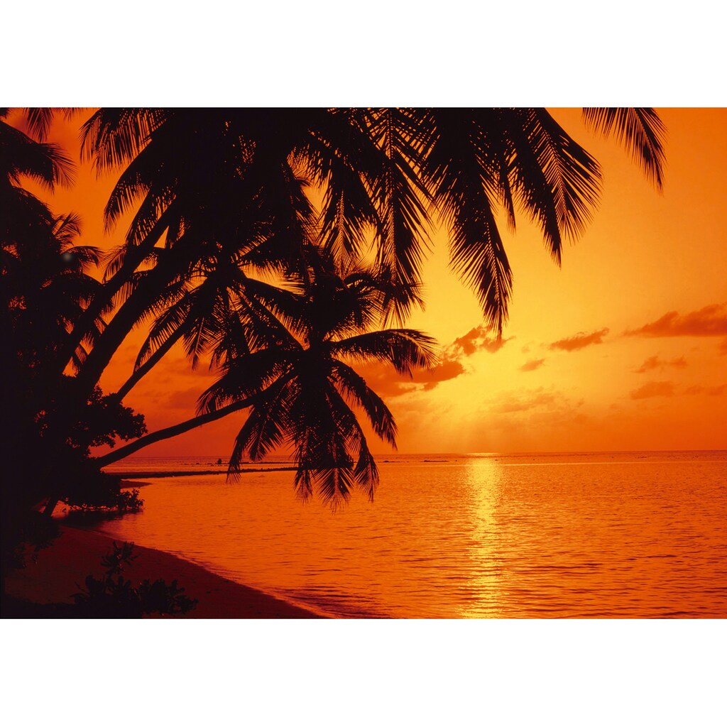 Papermoon Fototapete »Tropic Sunset«