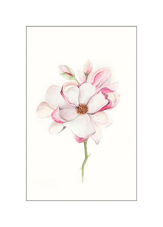 Bild KOMAR "Magnolia Blossom", rosa (farbe bild(er): rosa), B:30cm H:40cm, Holz, Papier, Bilder, Bild, Wandbild zur Dekoration - ohne Rahmen