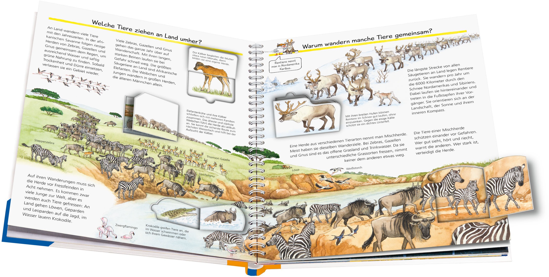 Ravensburger Buch »Wieso? Weshalb? Warum?, Band 37: Alles über Tierwanderungen«, Made in Europe