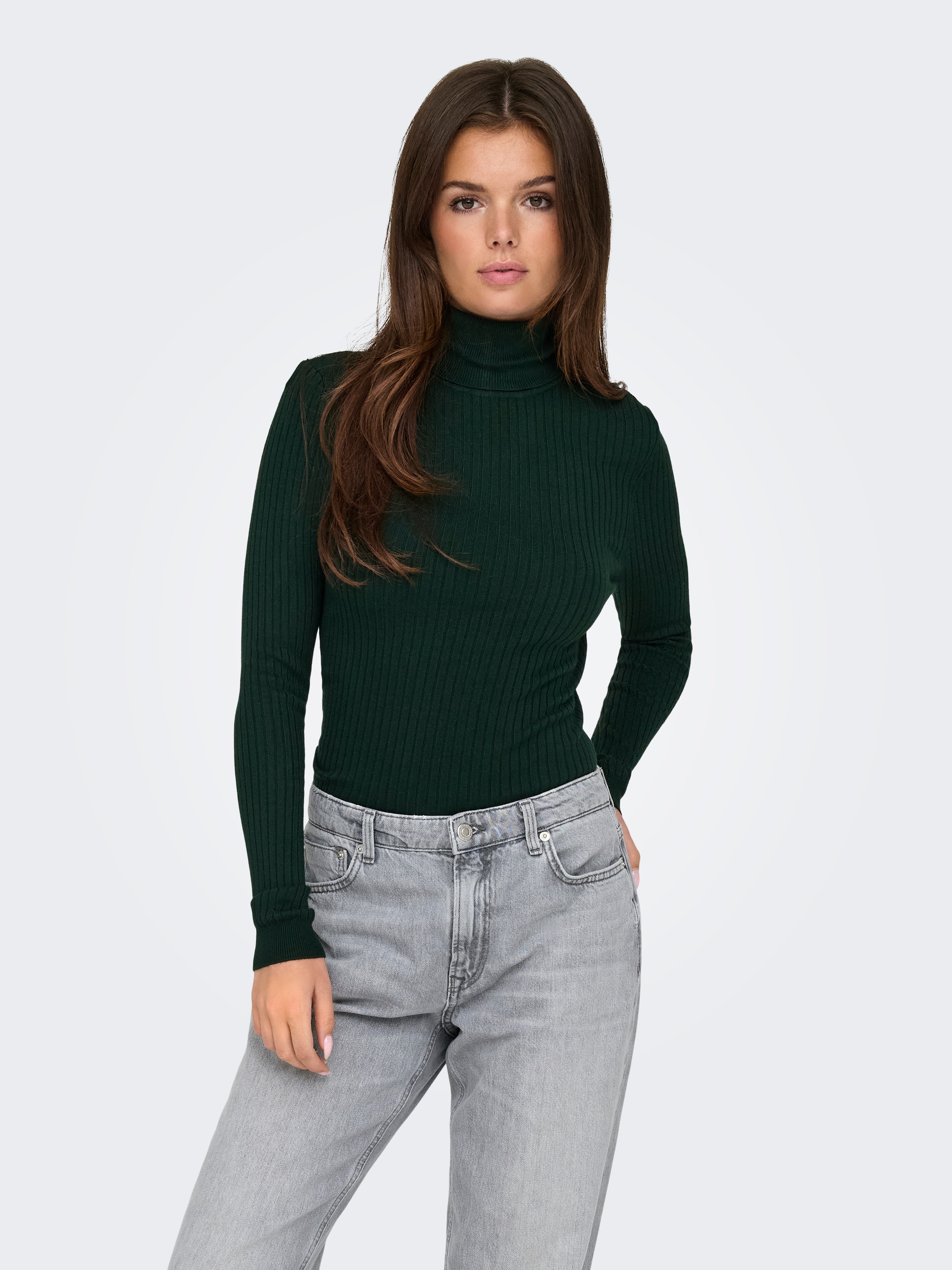 ONLY Rollkragenpullover »ONLKAROL L/S ROLLNECK PULLOVER KNT NOOS«