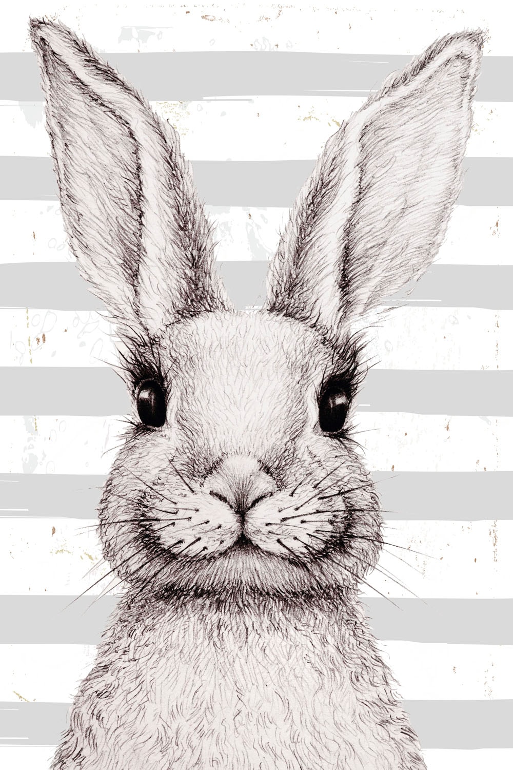 queence Metallbild "Gala", Hase, (1 St.), Stahlschilder günstig online kaufen