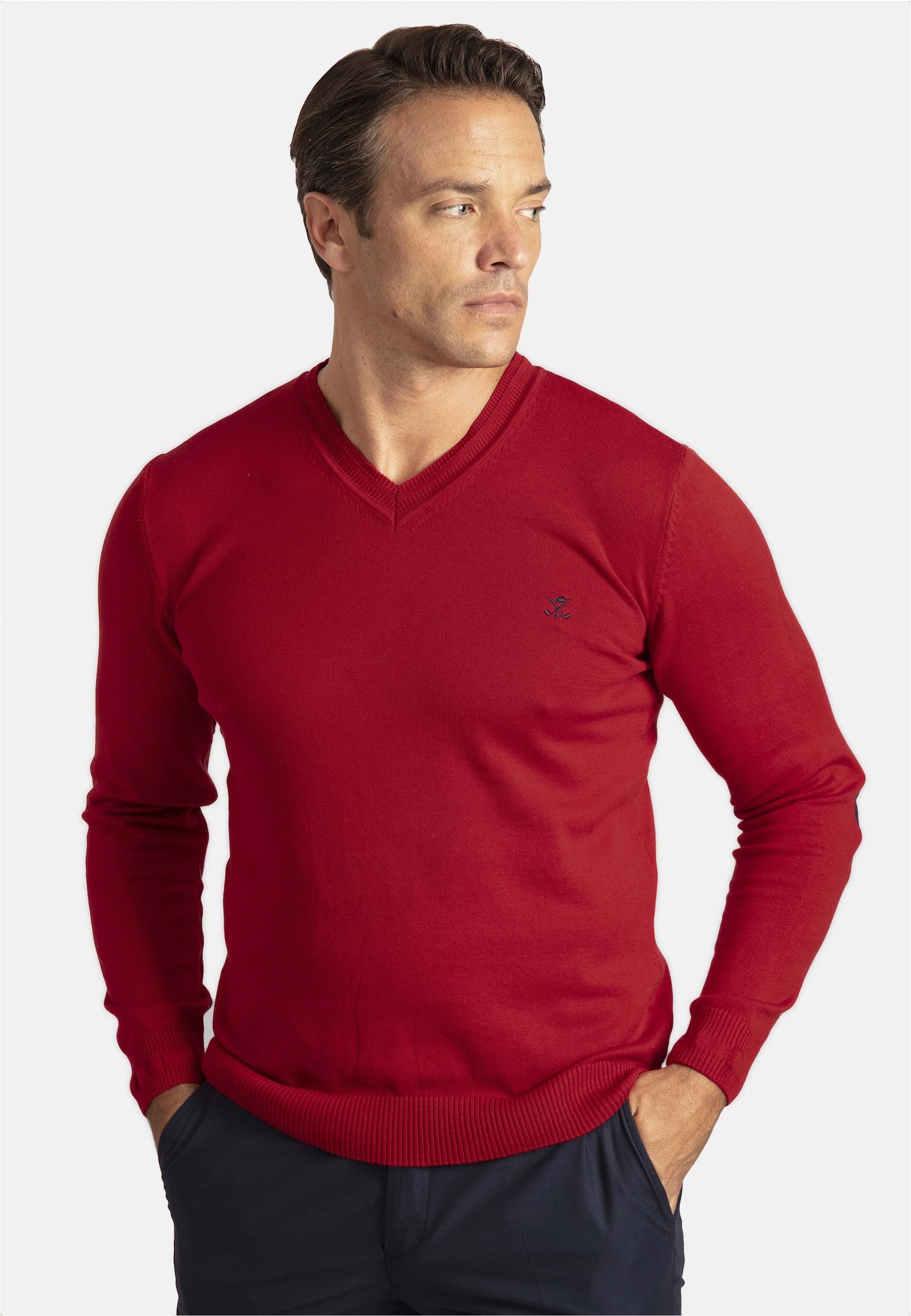 SIR RAYMOND TAILOR Strickpullover "Los Angeles", 1 Stk. mit klassischem V-A günstig online kaufen