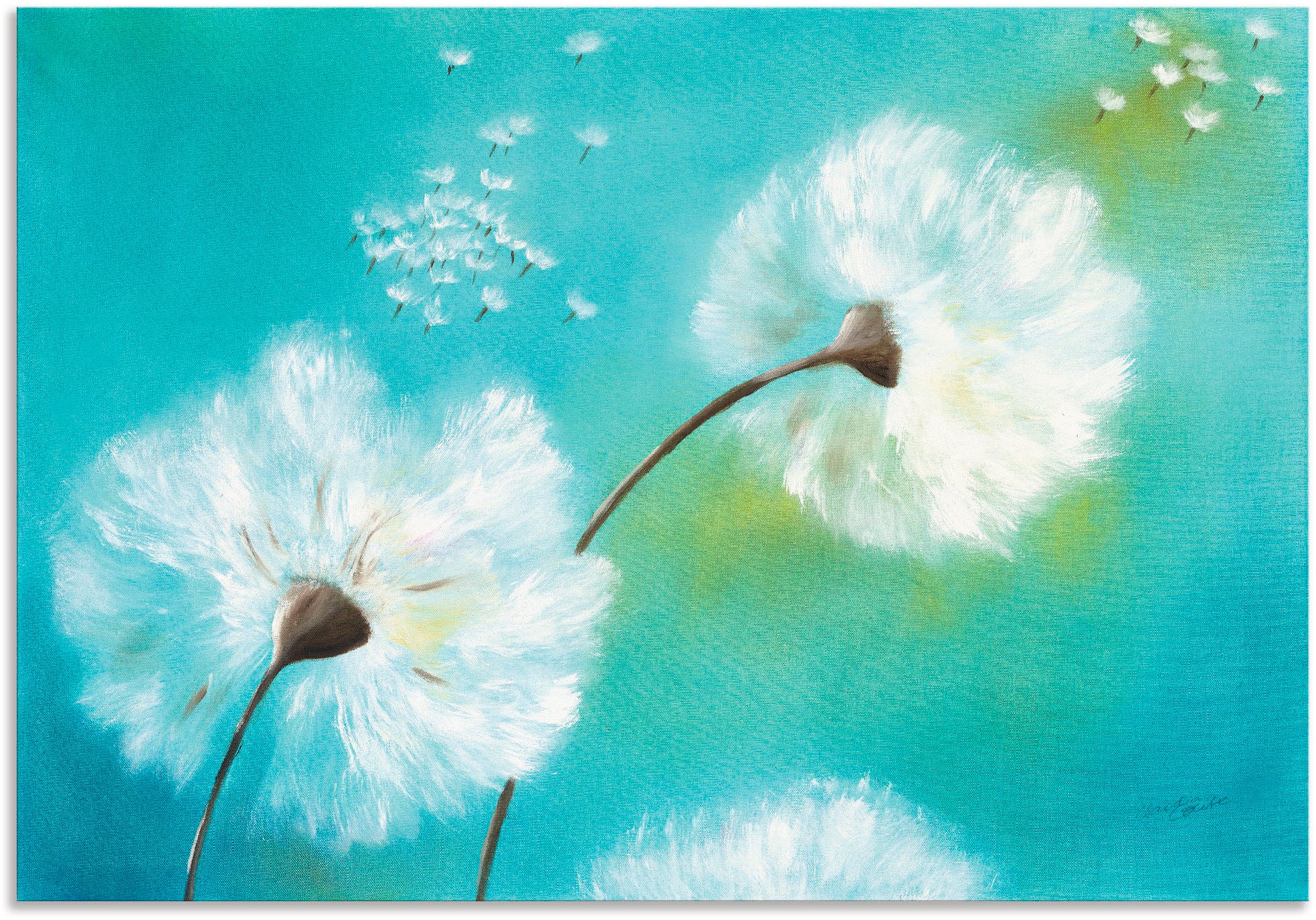 Artland Wandbild »Pusteblumen«, Wandaufkleber oder BAUR versch. Alubild, St.), Poster in kaufen (1 Größen Blumen, Leinwandbild, als 