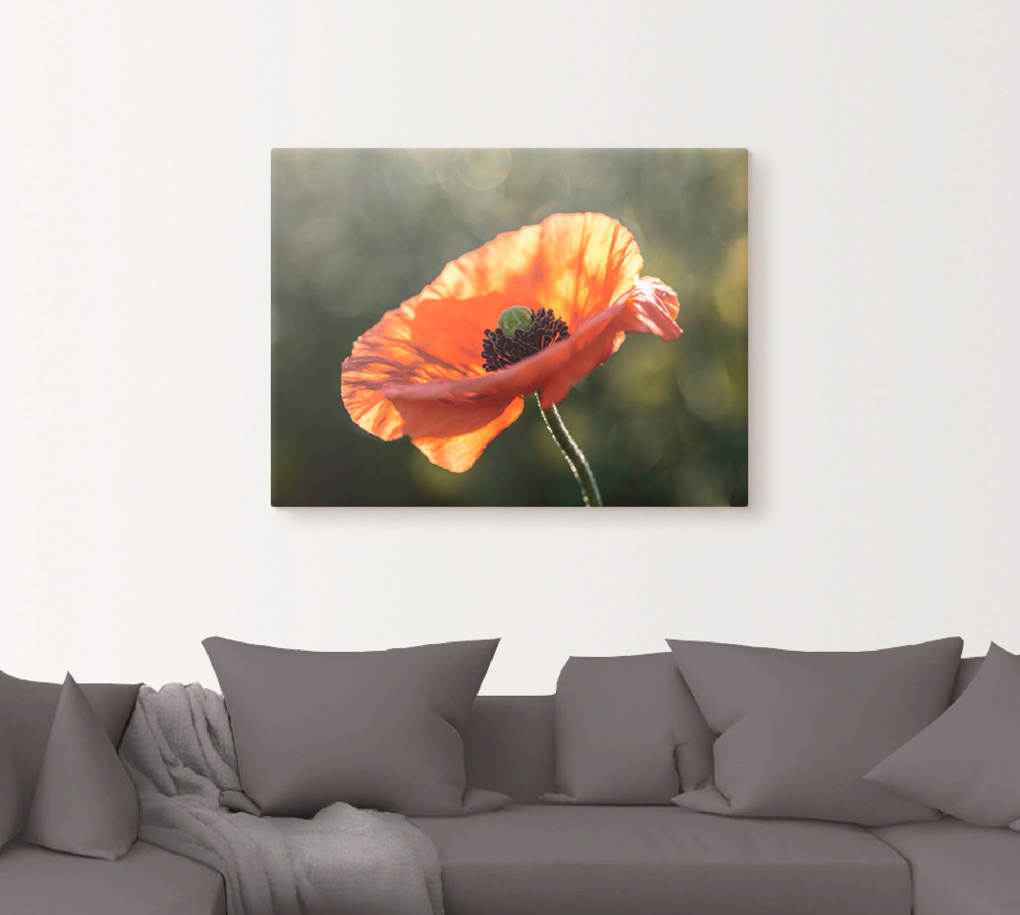 Artland Wandbild »Mohnblüte I«, Blumen, (1 St.), als Leinwandbild, Poster in verschied. Größen