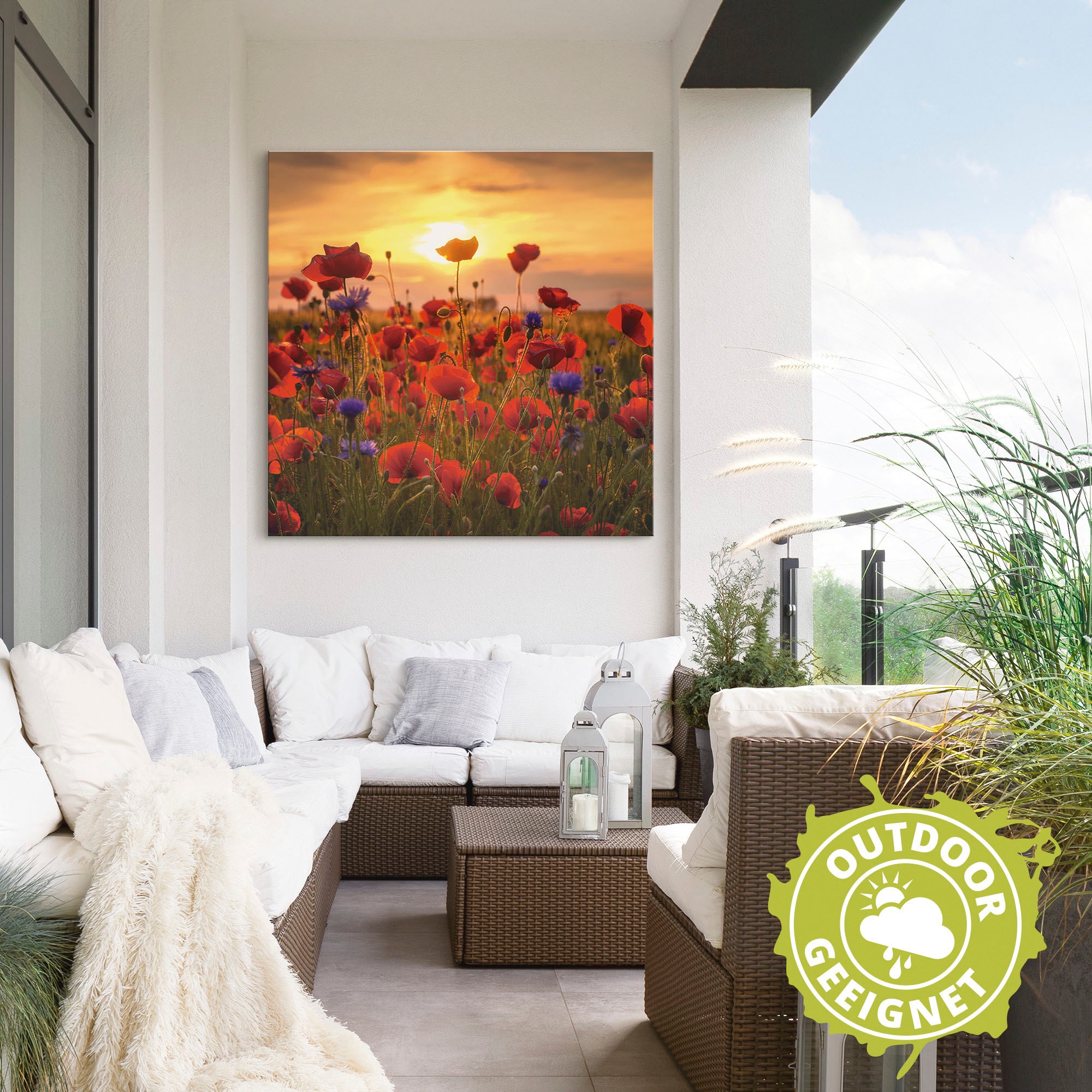 Artland Wandbild »Mohnblumen im Abendlicht«, Blumen, (1 St.), als Alubild, Outdoorbild, Leinwandbild, Poster, Wandaufkleber