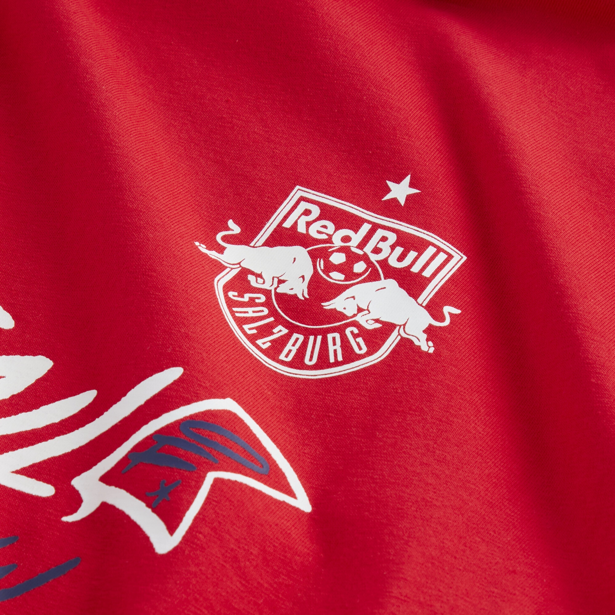 PUMA Trainingsshirt »PUMA HOOPS x FC Red Bull Salzburg T-Shirt II Herren«