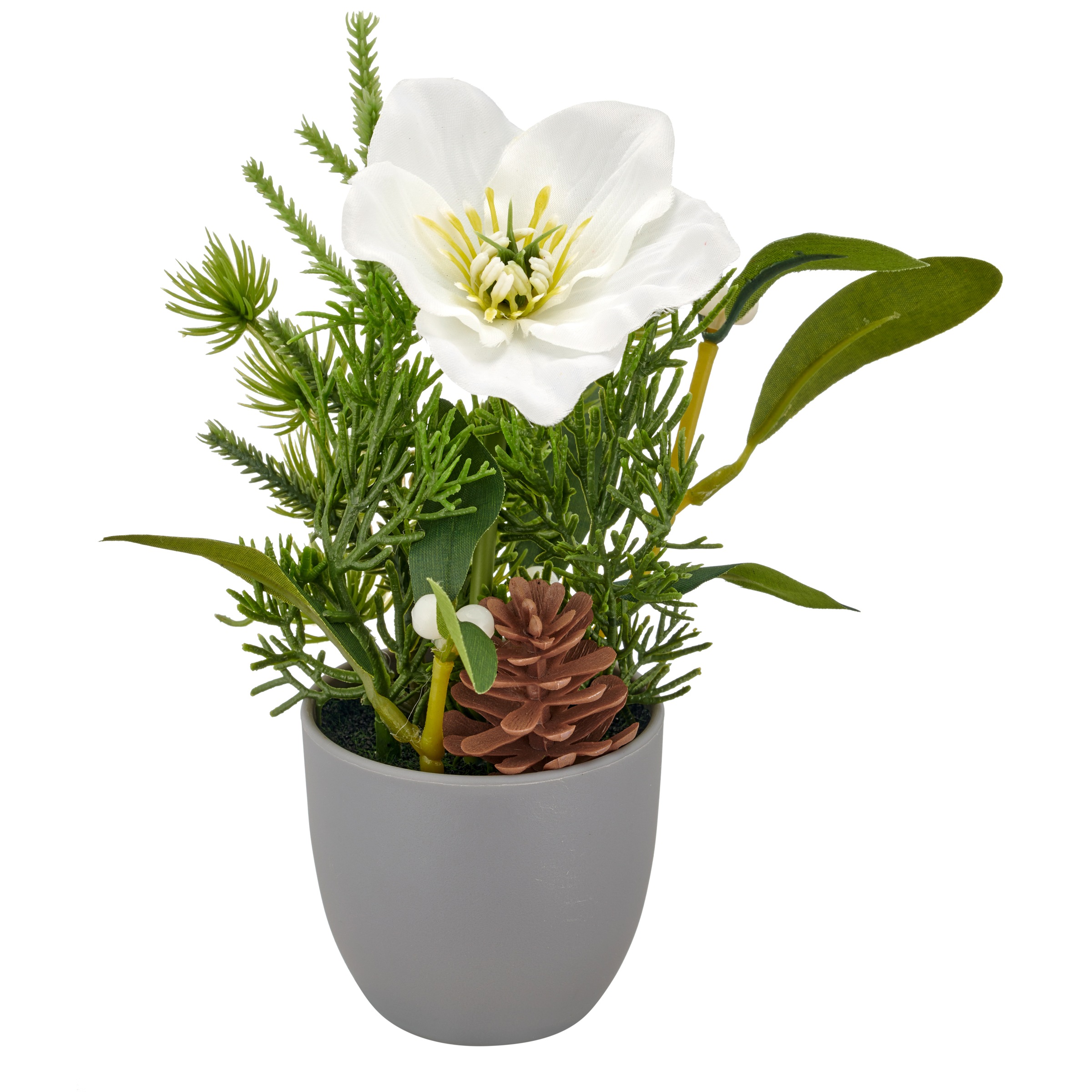Creativ green Winterliche Kunstpflanze "Arrangement mit Christrose" mit Tan günstig online kaufen