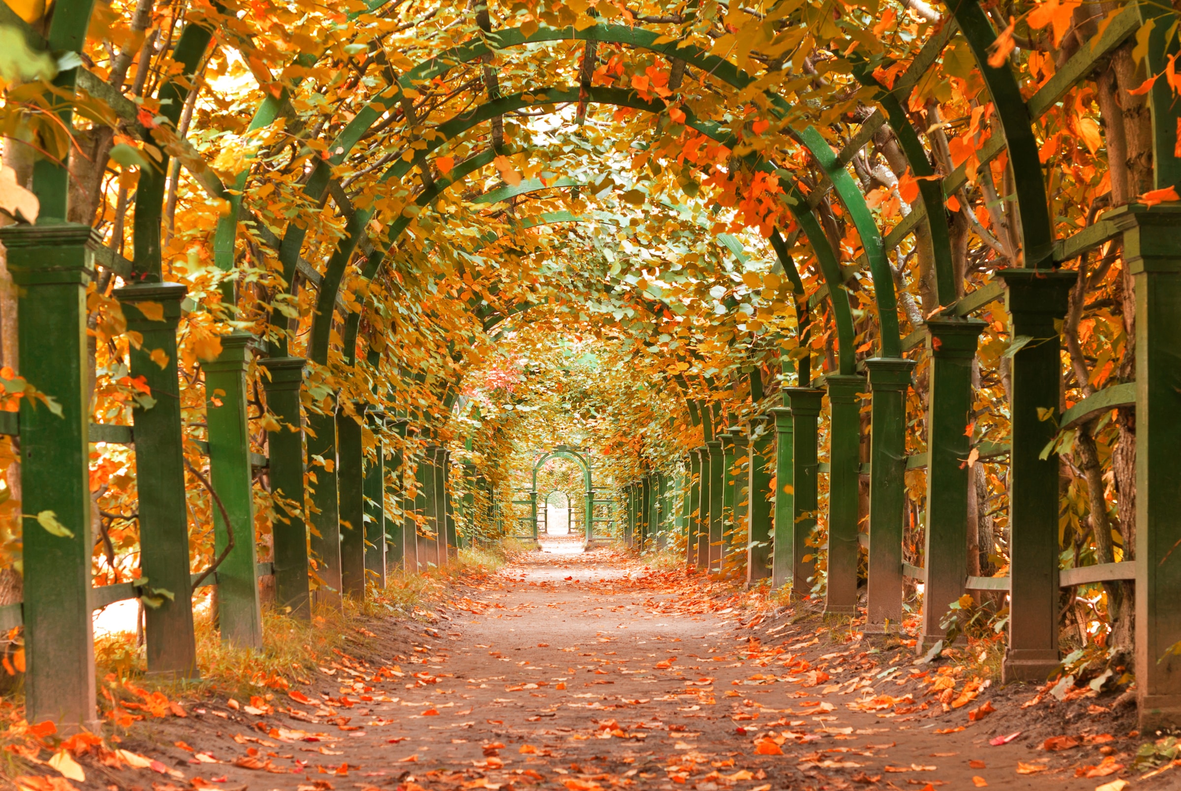 Papermoon Fototapete "Autumn Garden" glatt
