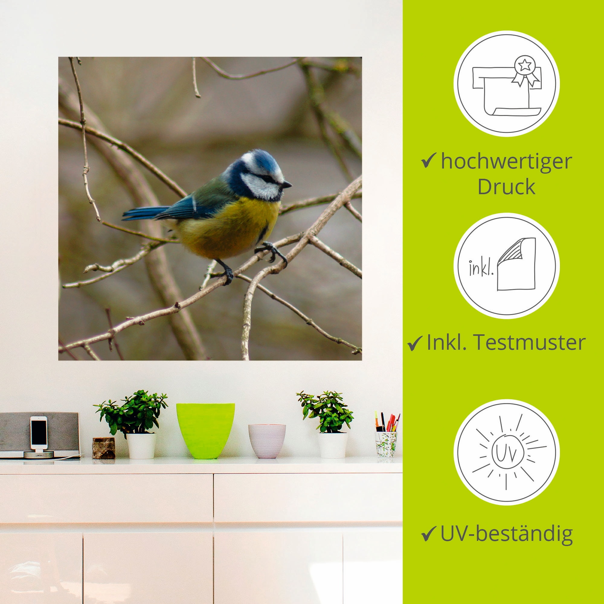 Artland Wandbild »Blaumeise«, Vögel, (1 St.), als Leinwandbild, Wandaufkleber in verschied. Größen