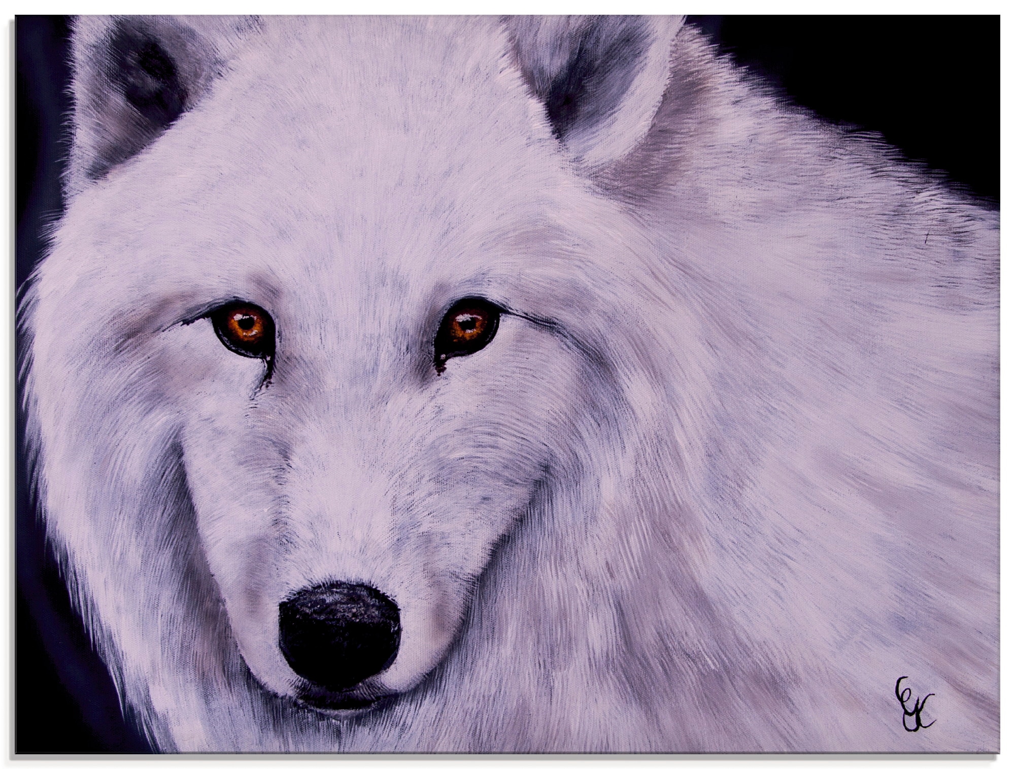 Artland Glasbild "Weißer Wolf" Wildtiere 1 Stk. tlg. in verschiedenen Größen