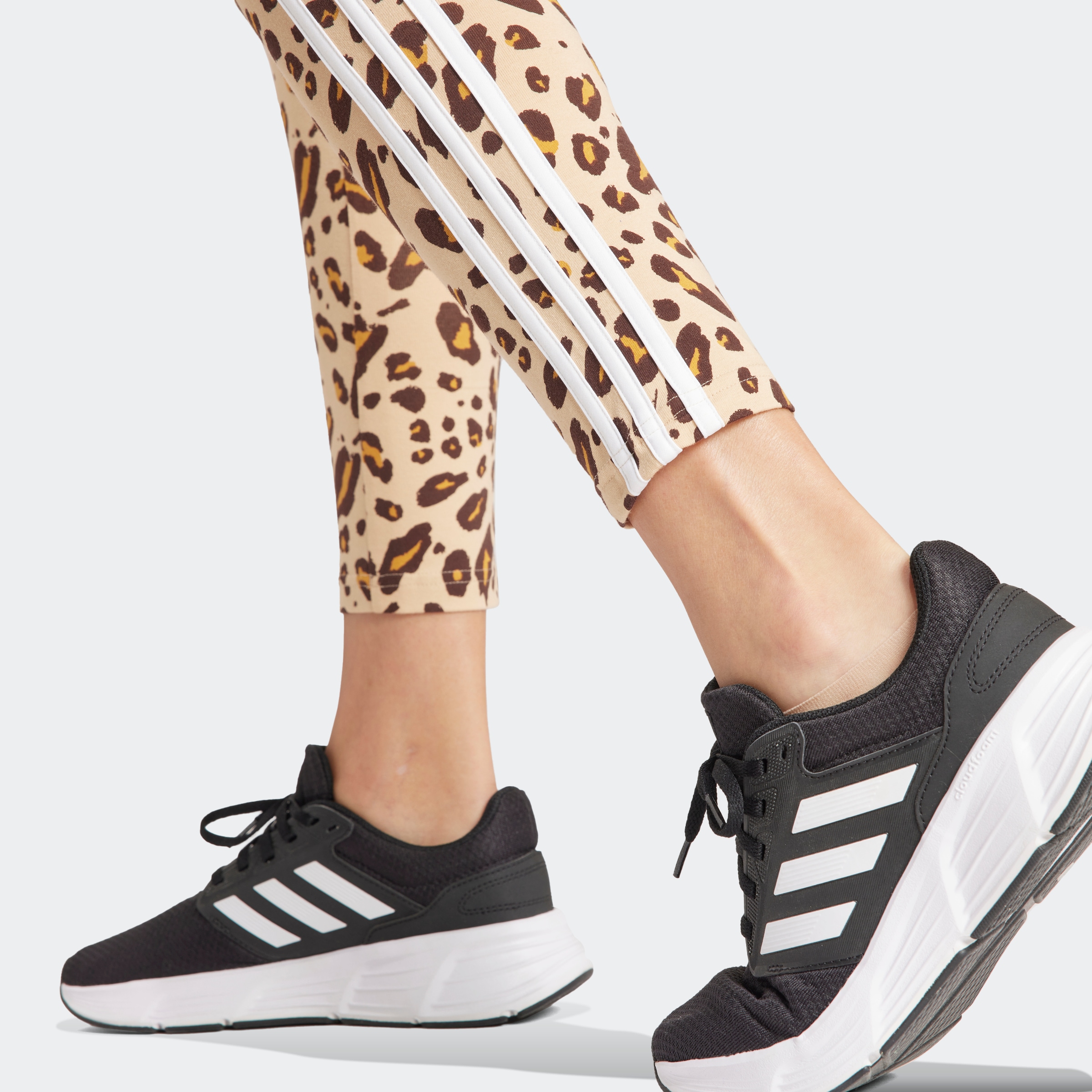 adidas Sportswear Leggings »ANML 3S LEG«, (1 tlg.) bestellen | BAUR