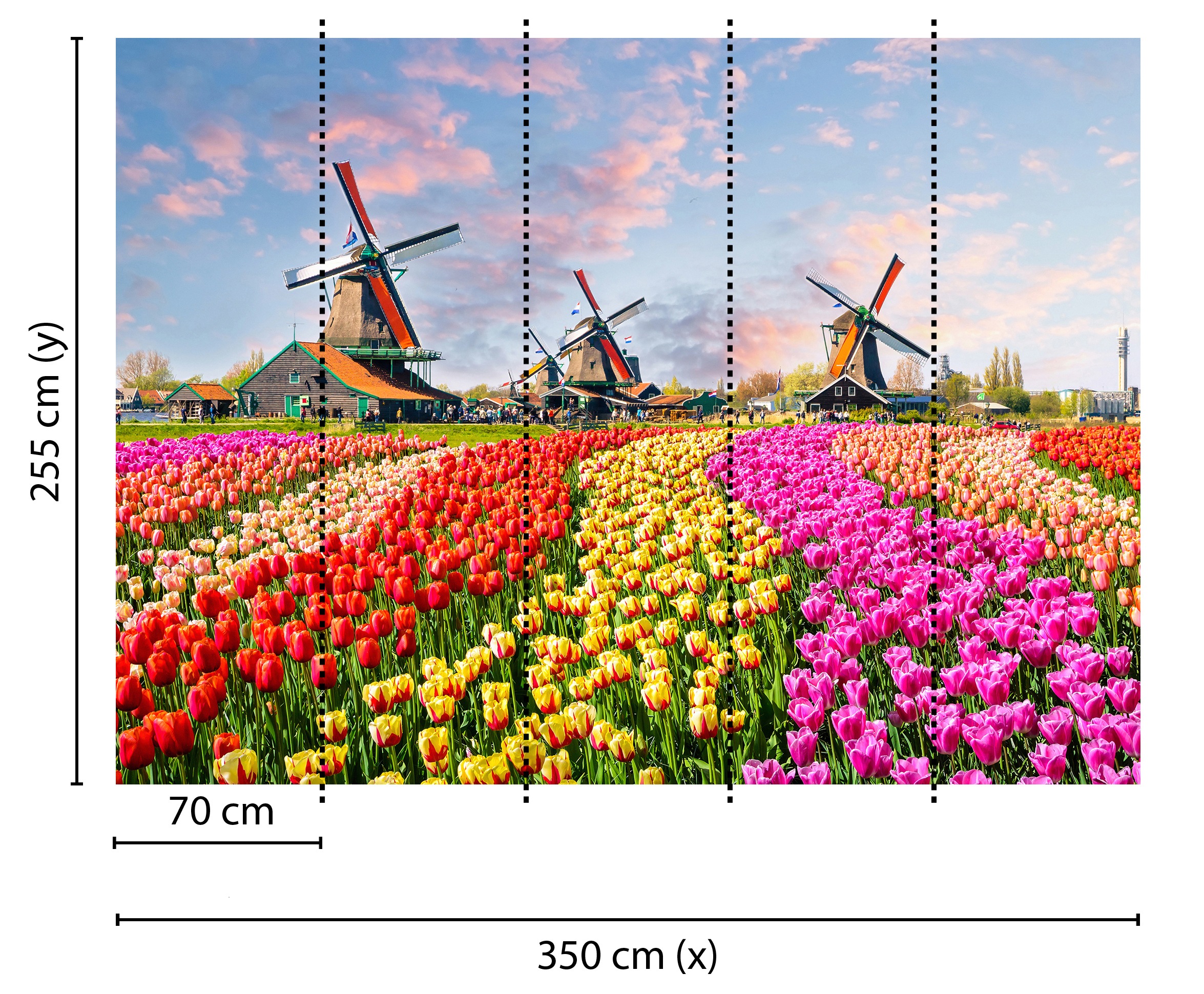 Fototapete LIVING WALLS "Designwalls Zaanse Schans", bunt (bunt, blau, rot), B:3,5m L:2,55m, Vlies, Tapeten, Vlies, Wand, Schräge, Decke 2