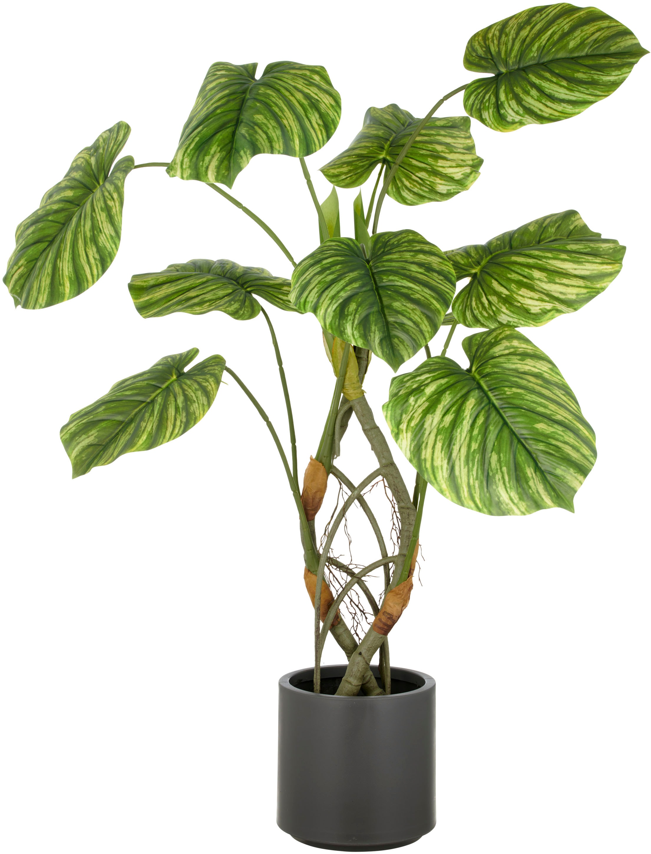 Creativ green Kunstpflanze "Philodendron mamei", mit naturgetreuer Gestaltu günstig online kaufen