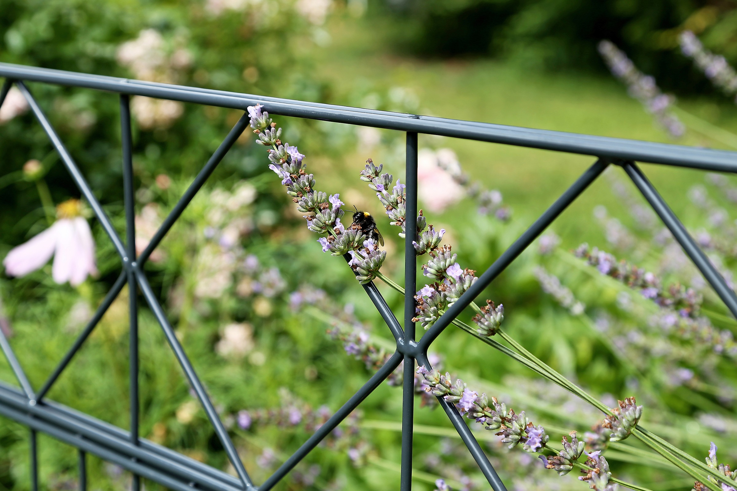 Alberts Doppelstabmattenzaun "Bergen" anthrazit, Höhe: 100-160cm, Gesamtlän günstig online kaufen