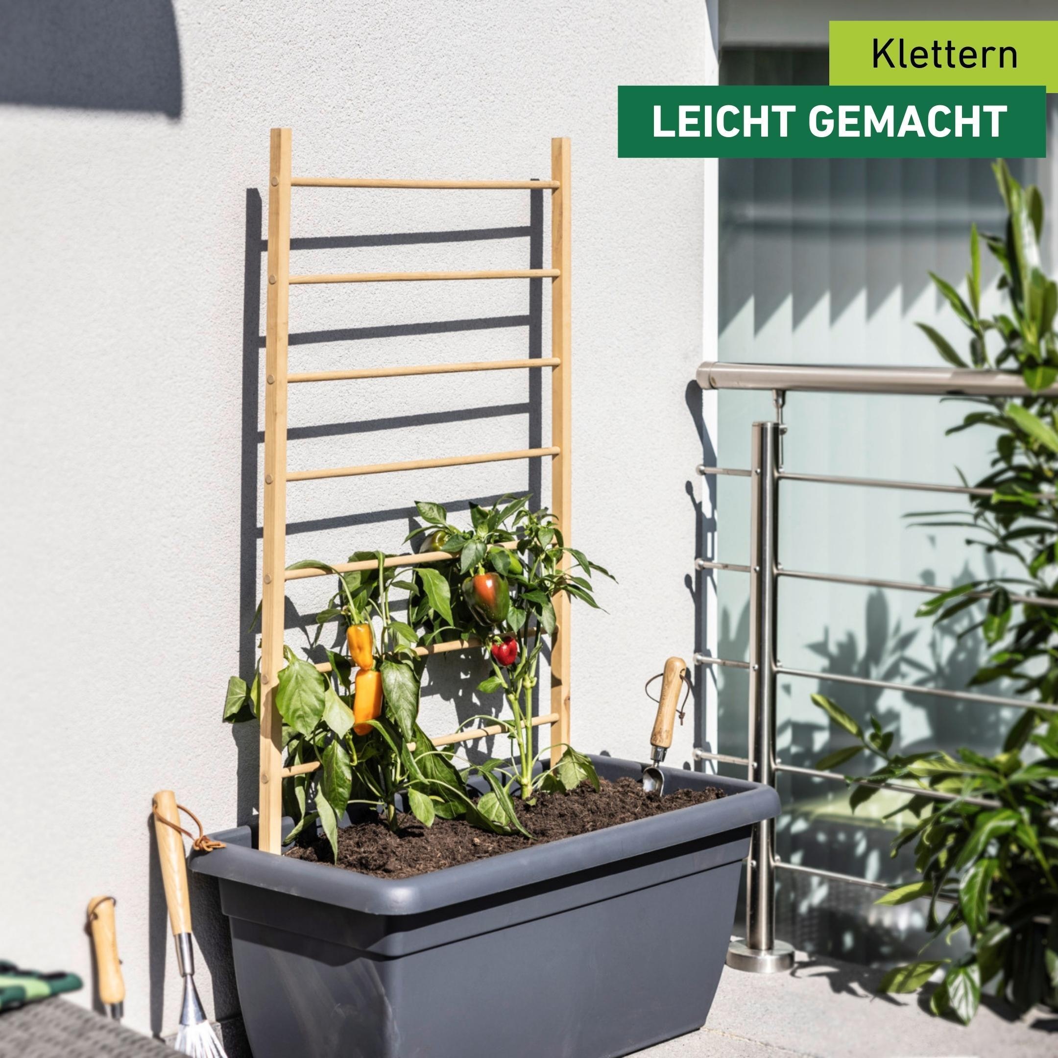 Windhager Rankgitter »für Blumen und Gemüsepflanzen in Garten- und Hochbeete« Kletterhilfe 80 x 170 cm, Rankgerüst aus Holz