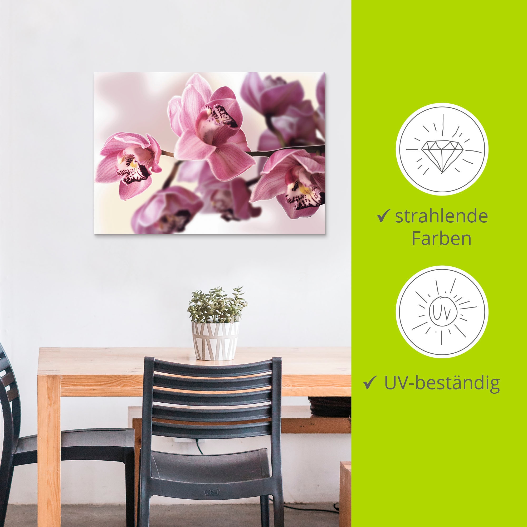 Artland Wandbild »Rosa Orchidee«, Blumenbilder, (1 St.), als Alubild, Outdoorbild, Leinwandbild, Poster, Wandaufkleber