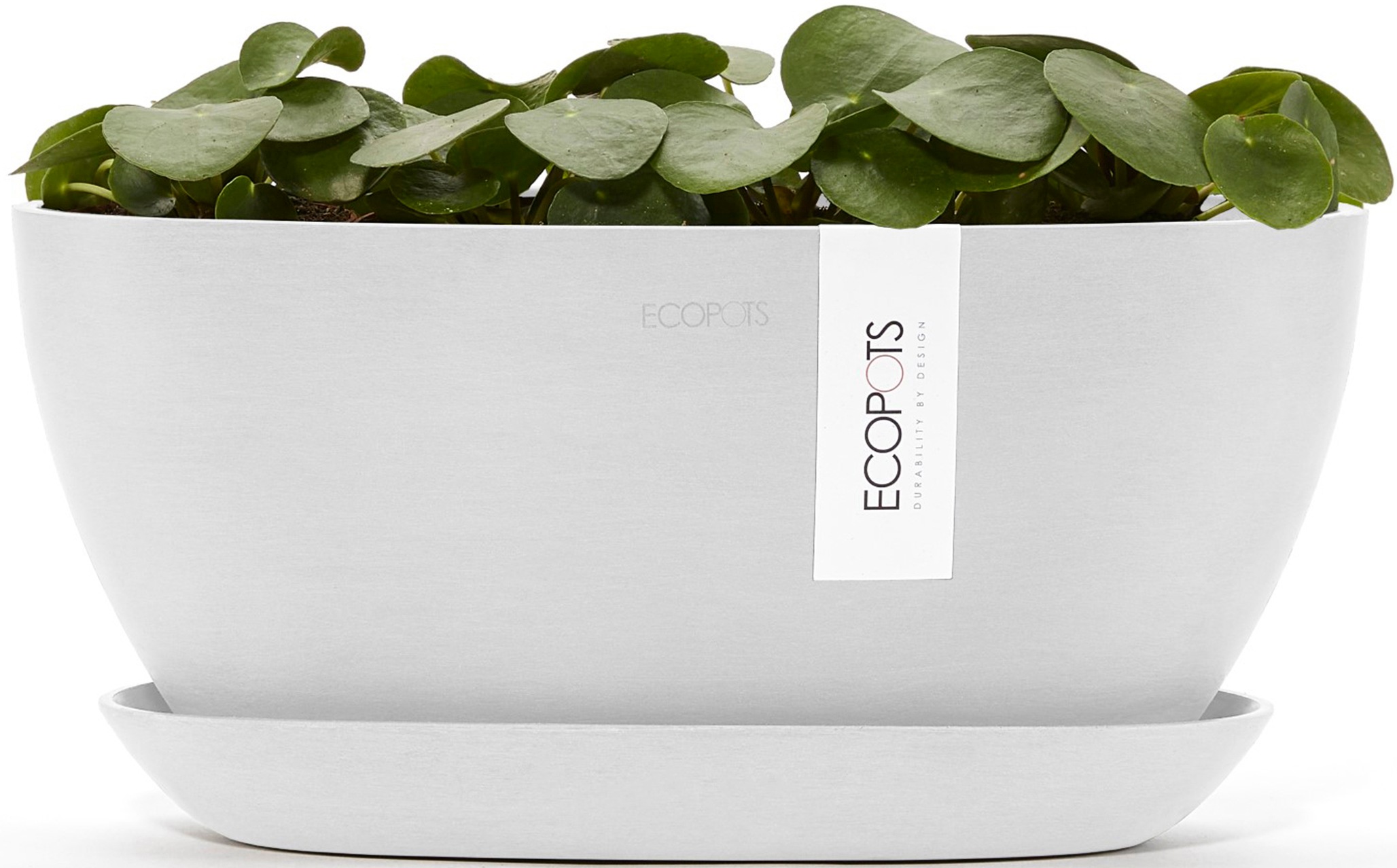 ECOPOTS Blumentopf »Sofia 30 Weiß«, für innen und außen: frostsicher, bruchsicher und lichtbeständig