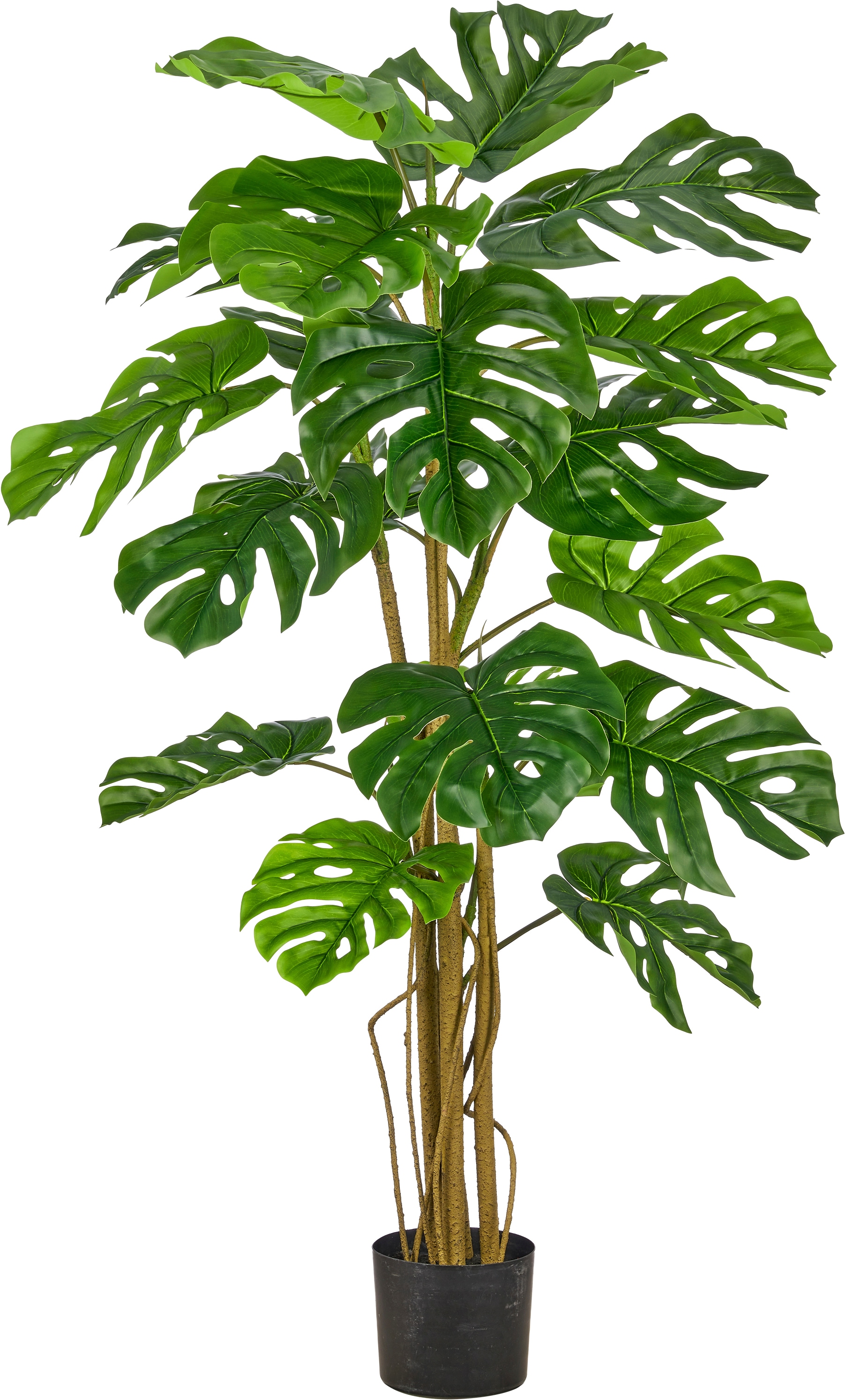 Creativ green Kunstpflanze "Splitphilodendron" mit naturgetreuem Blattwerk
