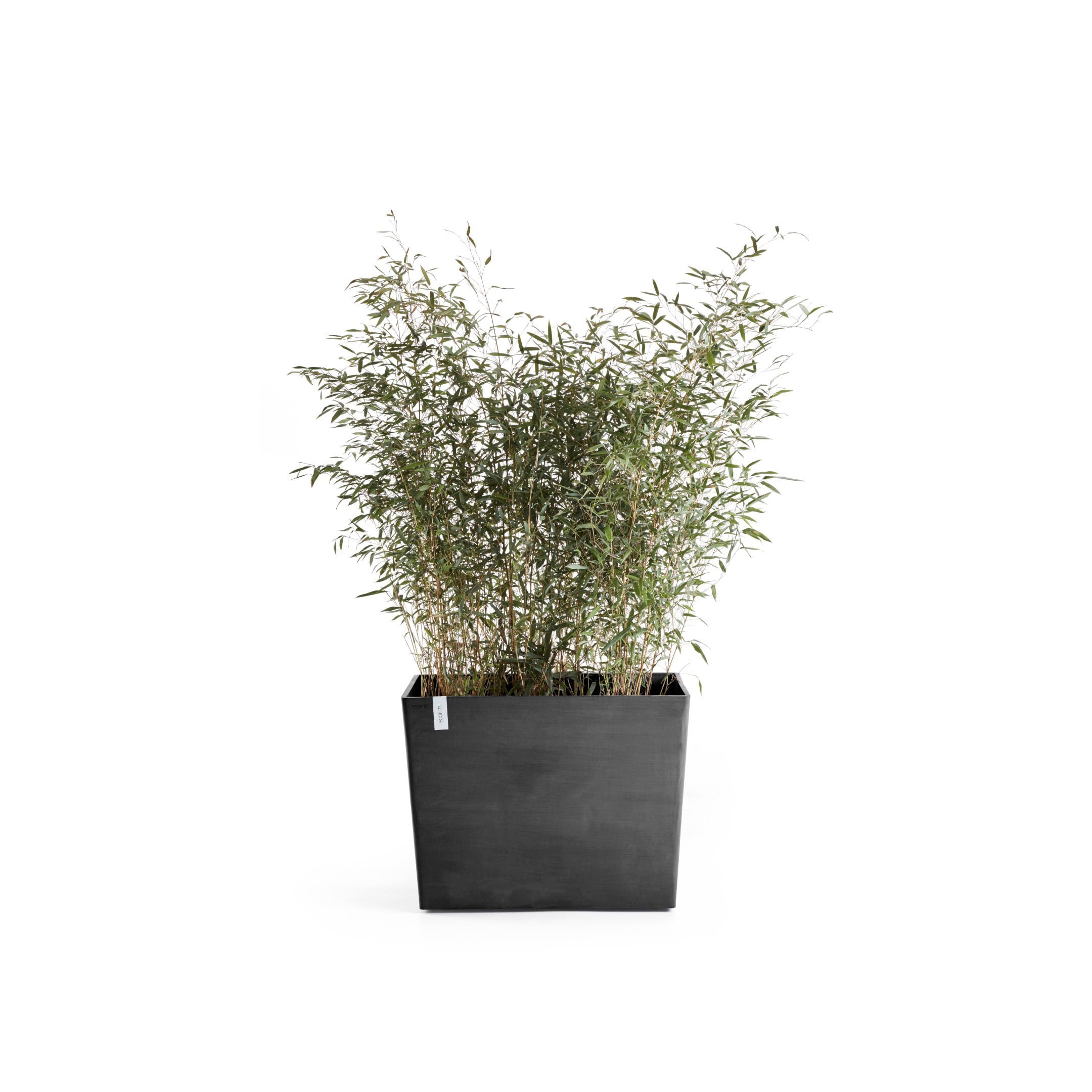 ECOPOTS Blumentopf 85x40x65 cm kaufen BAUR »Paris«, BxTxH: 