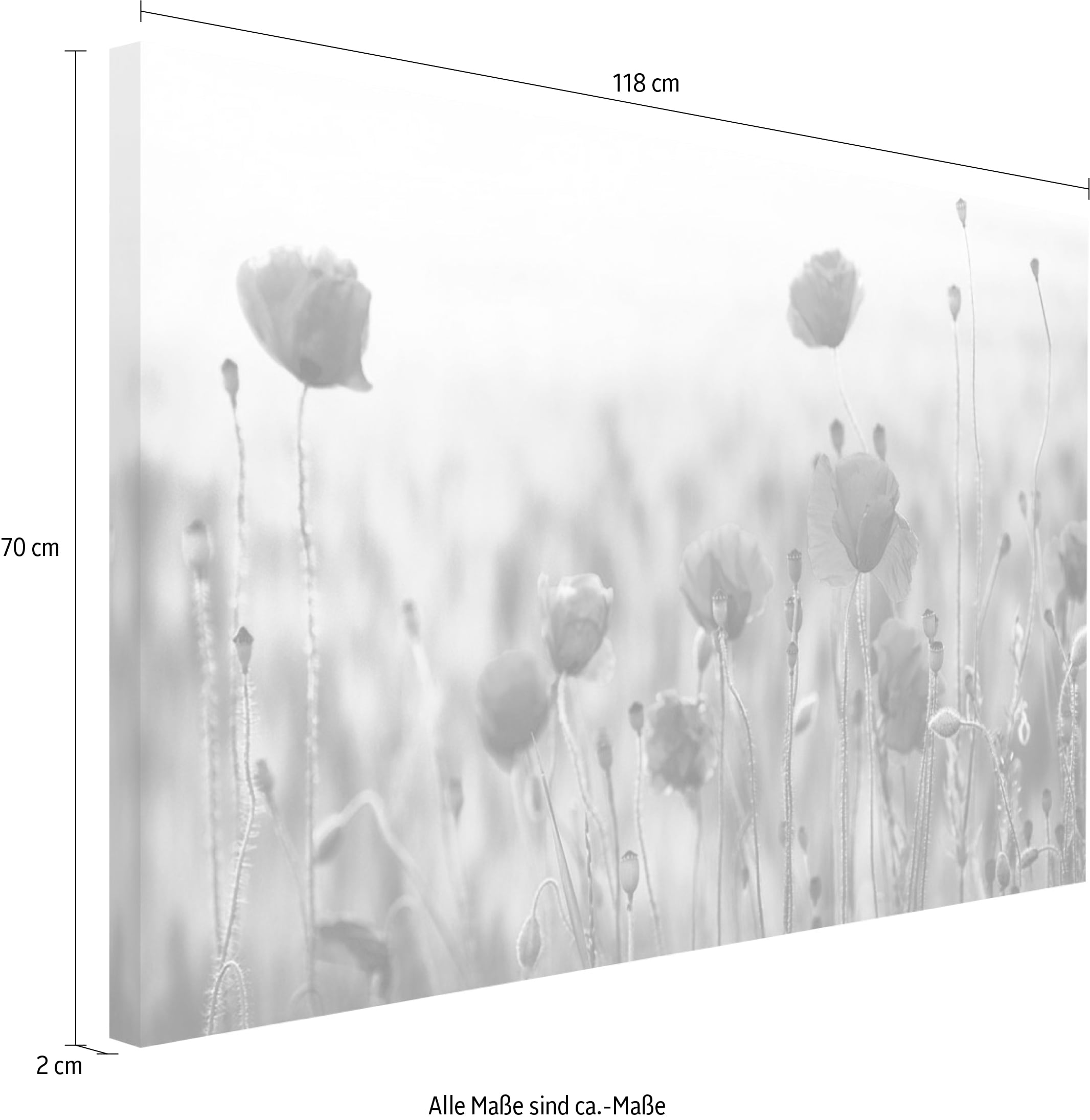 Reinders! Holzbild »Deco Block 70x118 Wild Poppies«