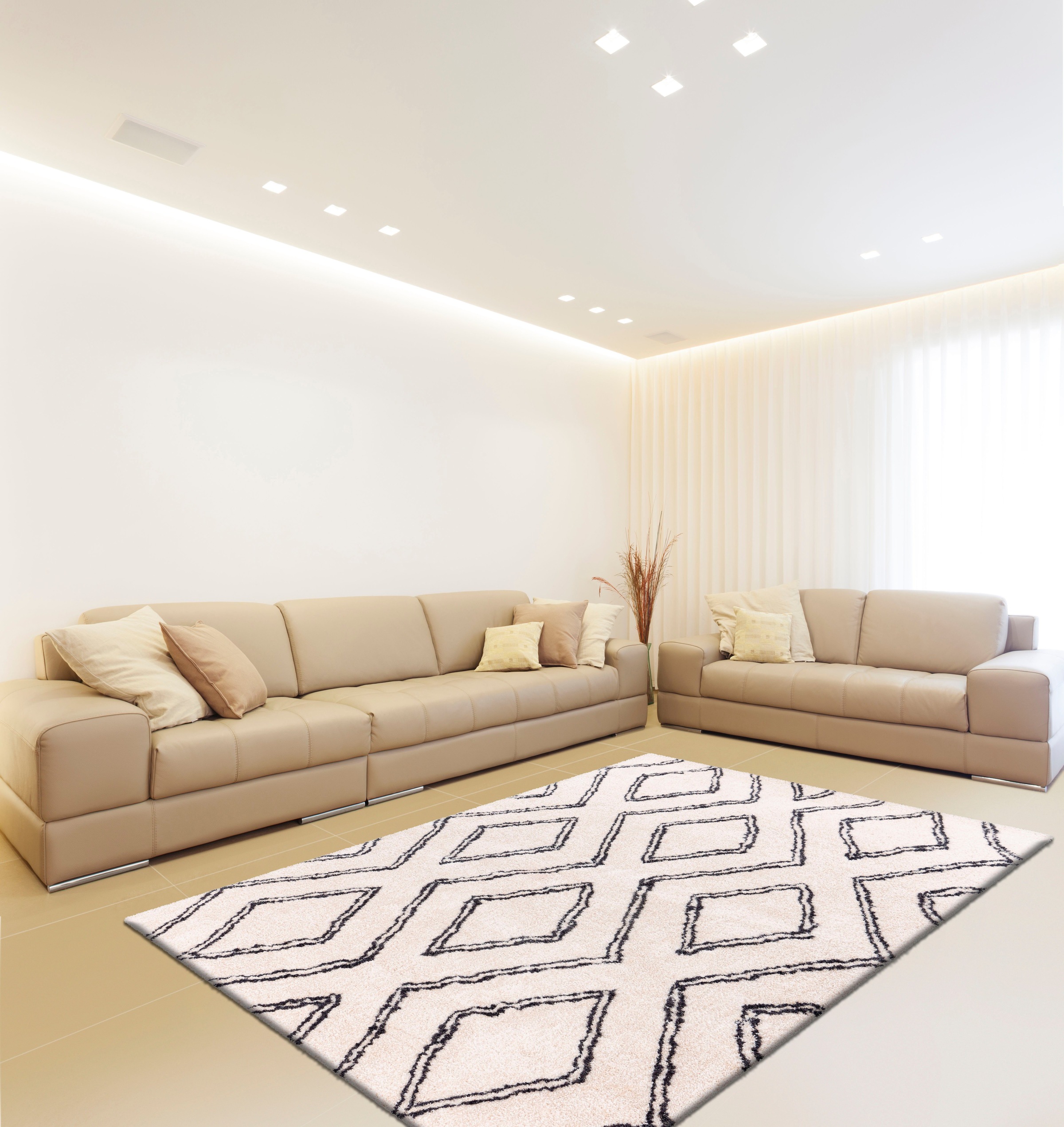 calo-deluxe Hochflor-Teppich »Elvar-2000«, rechteckig, 27 mm Höhe, besonders weich durch Microfaser, Wohnzimmer