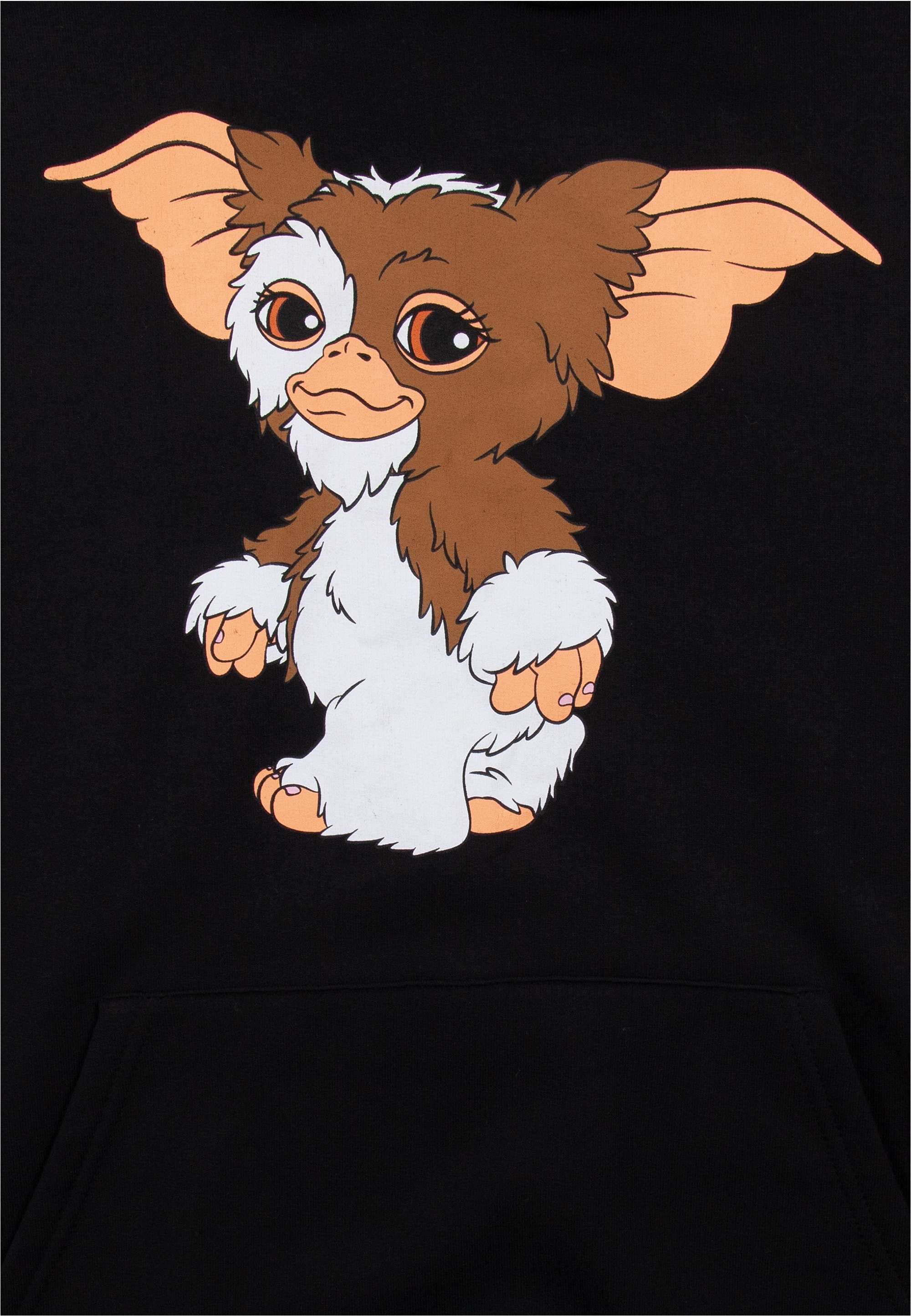 Recovered Kapuzensweatshirt »Gremlins Black«, (1 tlg.), mit coolem Gremlins-Print