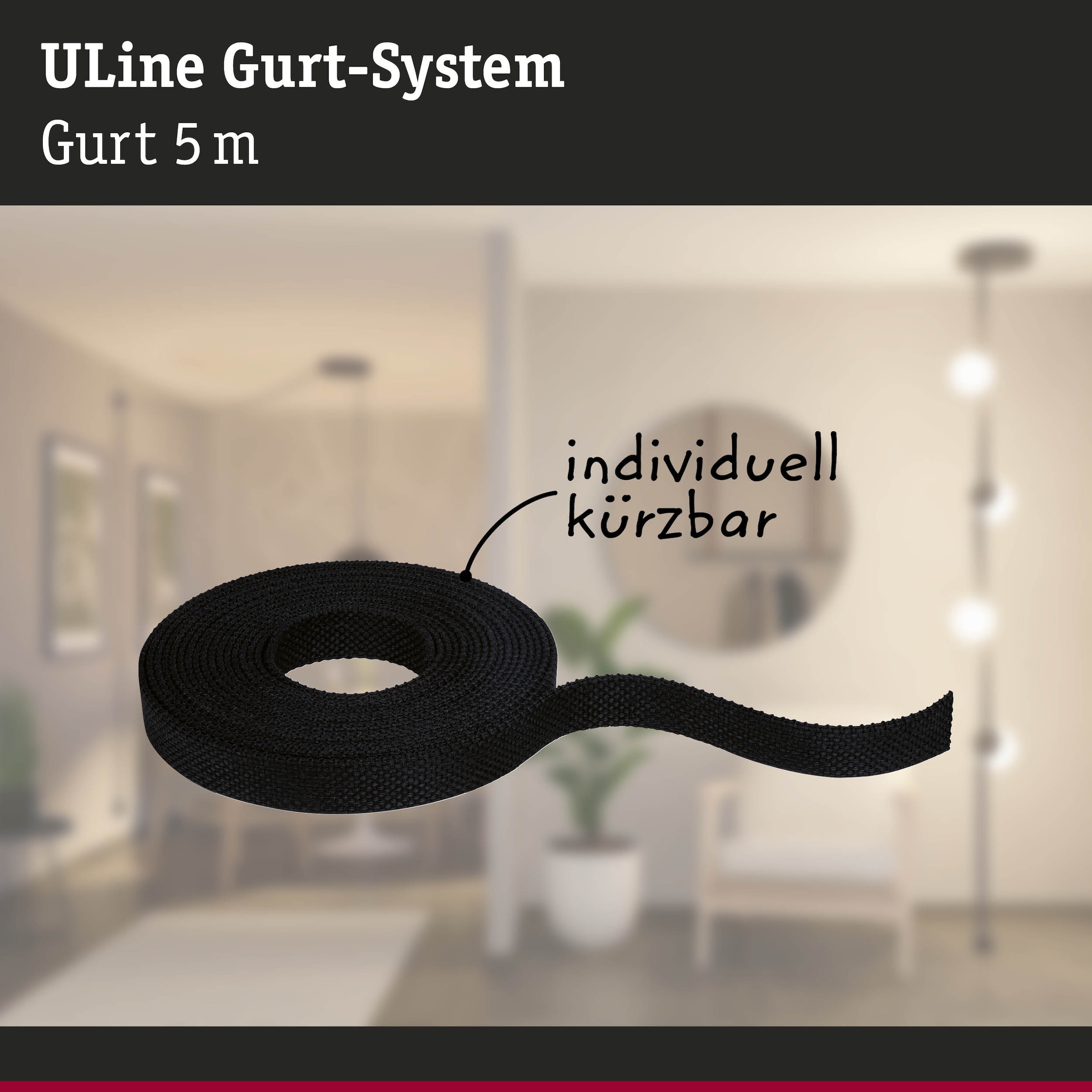 Paulmann Hängeleuchte »ULine Gurt Belt  5m« 1 Stk.