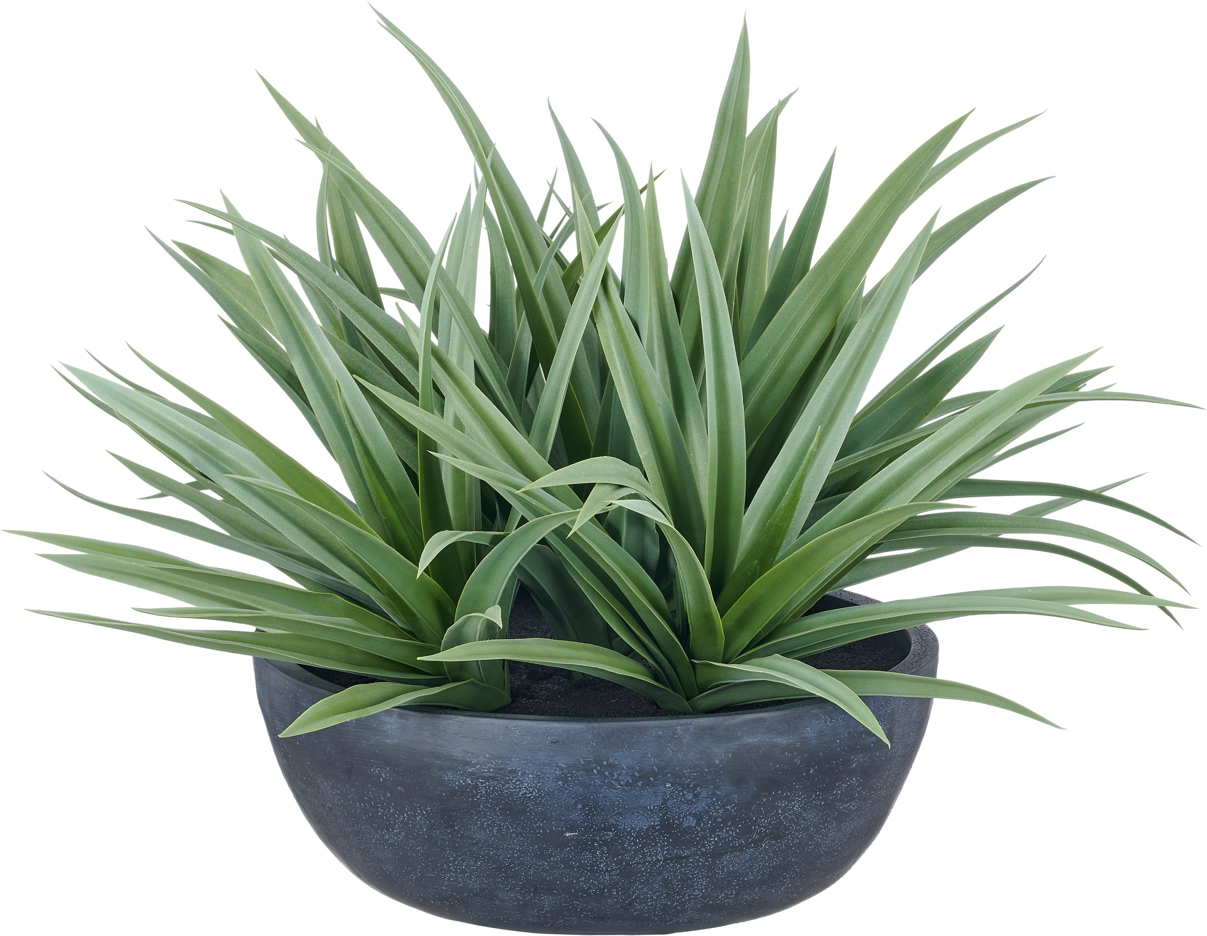 Creativ green Kunstpflanze "Dracaena" mit naturgetreuem Blattwerk