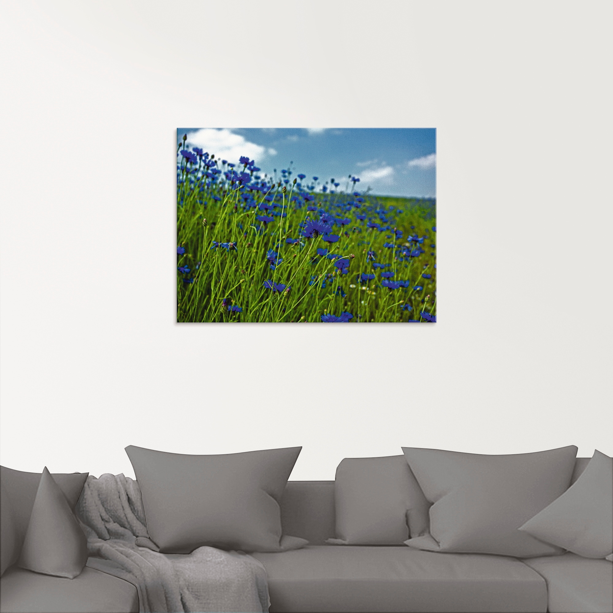 Artland Glasbild »Kornblumenwiese«, Blumenwiese, (1 St.), in verschiedenen Größen