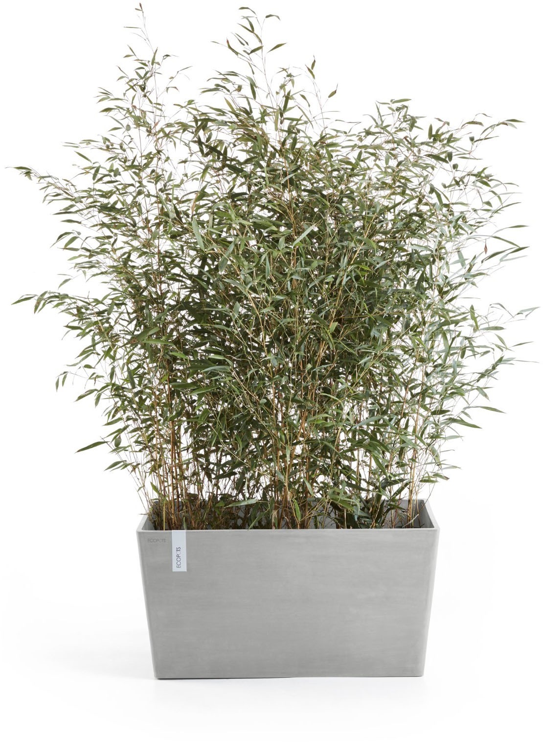 ECOPOTS Blumentopf »Paris 80 Weißgrau« für den Außenbereich: frostsicher, bruchsicher und lichtbeständig